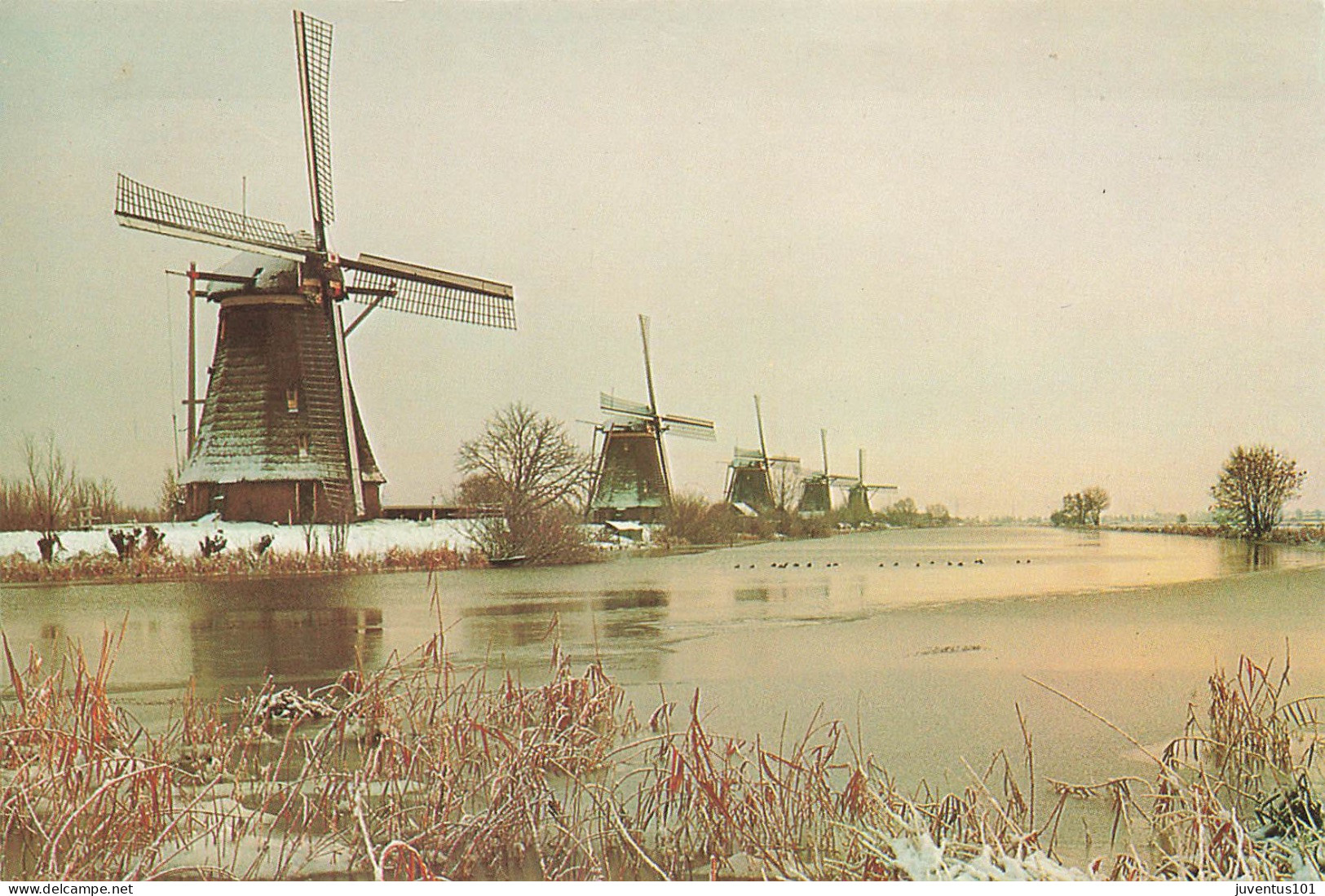 CPSM Kinderdijk      L2566 - Kinderdijk