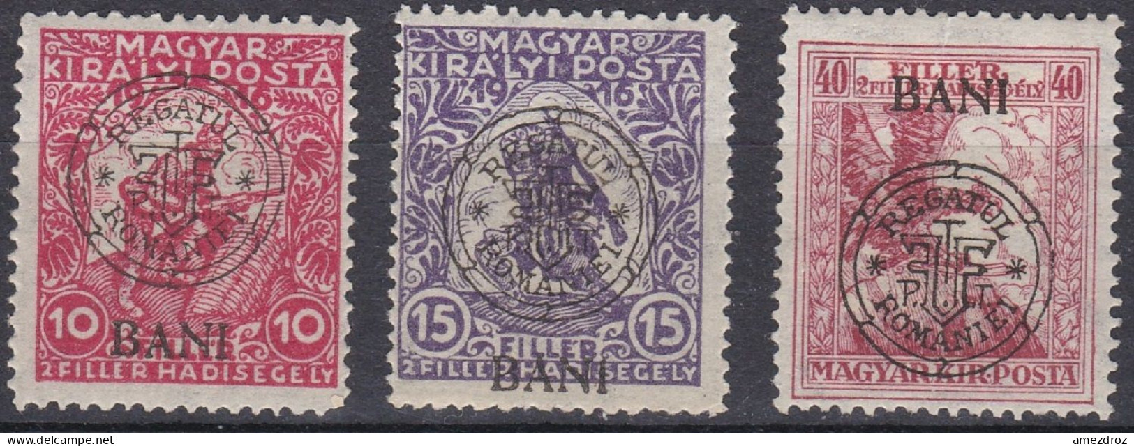 Transylvanie Cluj Kolozsvar 1919 N° 11-13 * Timbres De Bienfaisance   (J20) - Transilvania