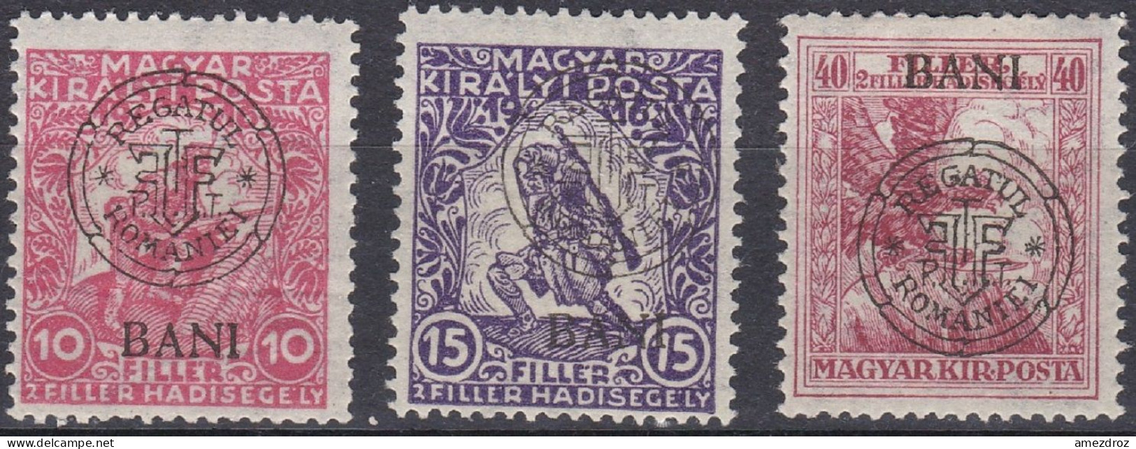 Transylvanie Cluj Kolozsvar 1919 N° 11-13 * Timbres De Bienfaisance   (J20) - Siebenbürgen (Transsylvanien)