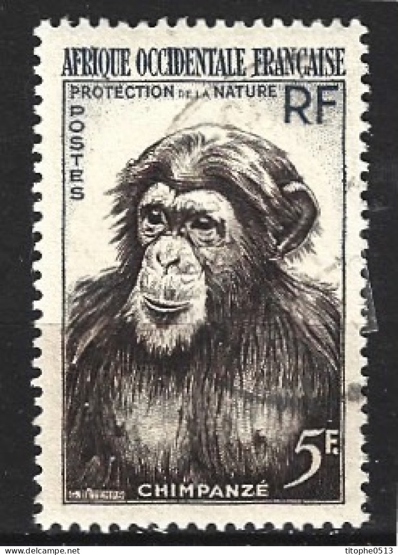 AOF. N°51 Oblitéré De 1955. Chimpanzé. - Chimpansees