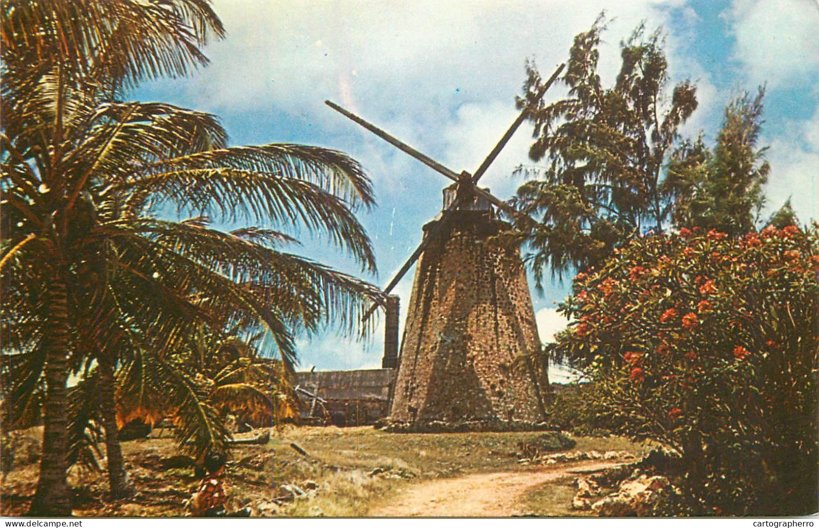 Barbados Old Sugar Mill At Morgan Lewis - Barbados