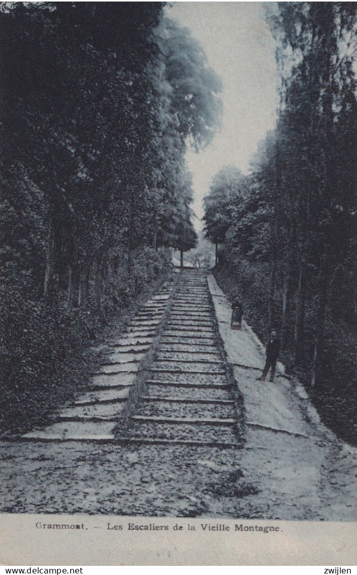 GERAARDSBERGEN GRAMMONT LES ESCALIERS DE LA VIEILLE MONTAGNE - Geraardsbergen