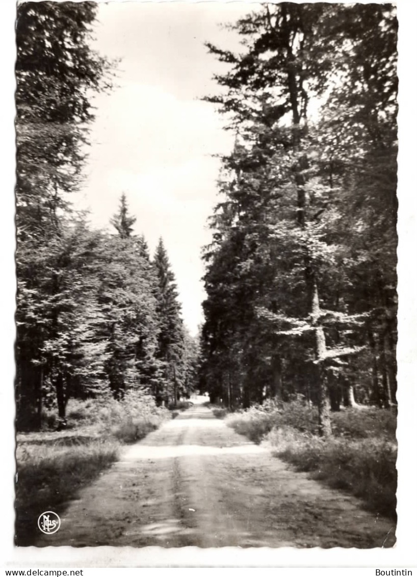 Carlsbourg Sous Bois - Libramont-Chevigny