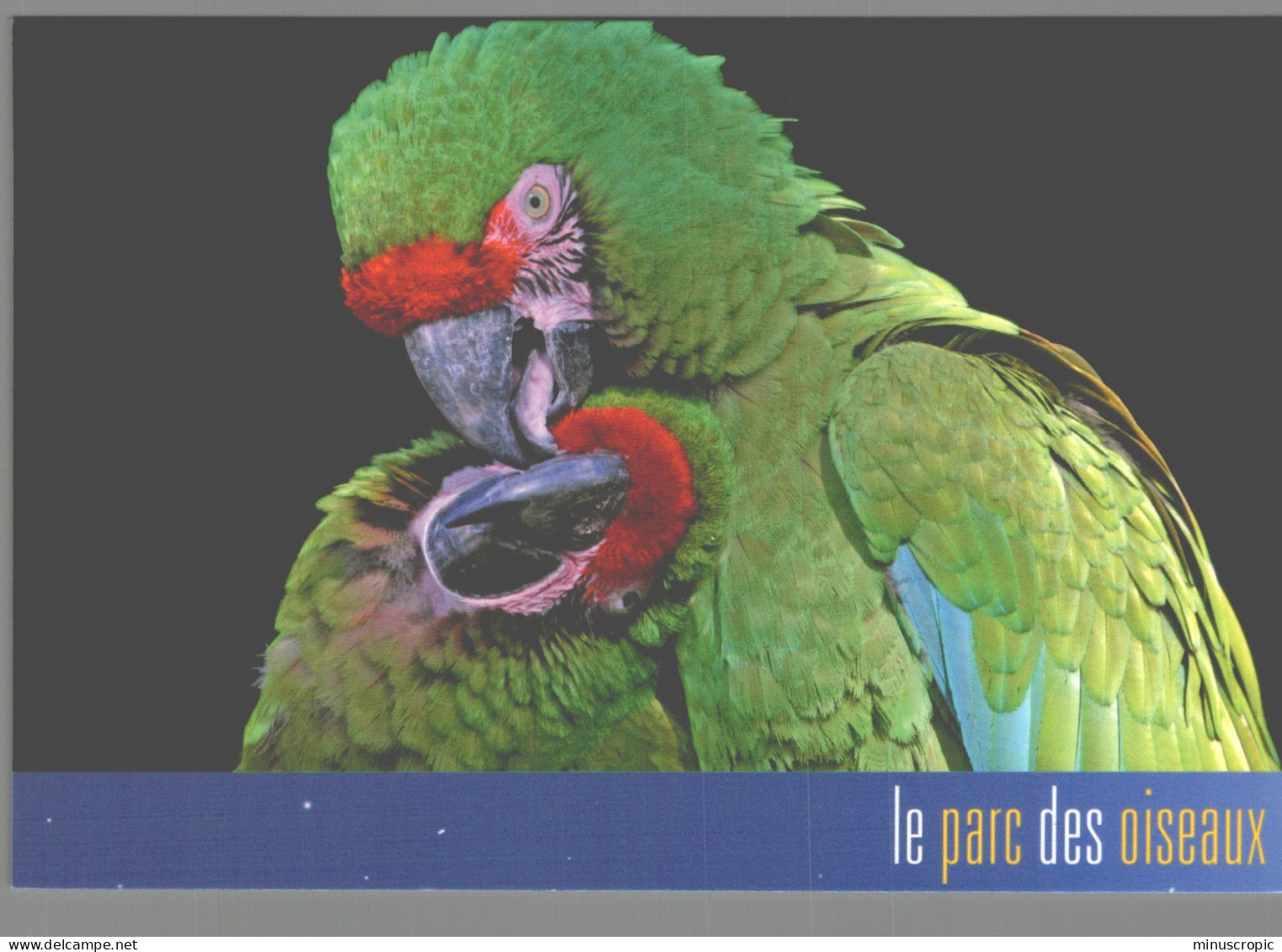 CPM 01 - Villars Les Dombes - Parc Des Oiseaux - Aras Militaires - Villars-les-Dombes