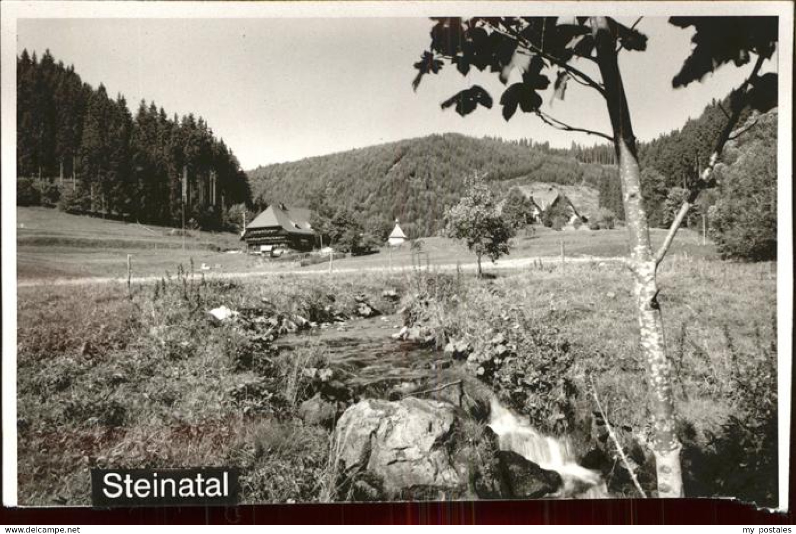 41393839 Bonndorf Schwarzwald Panorama Steinatal Bonndorf - Bonndorf