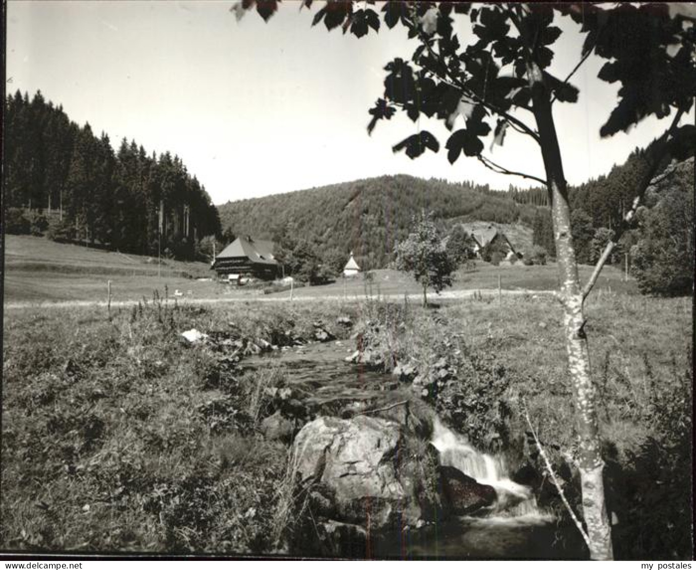 41393454 Bonndorf Schwarzwald Bauernhaus Bonndorf - Bonndorf