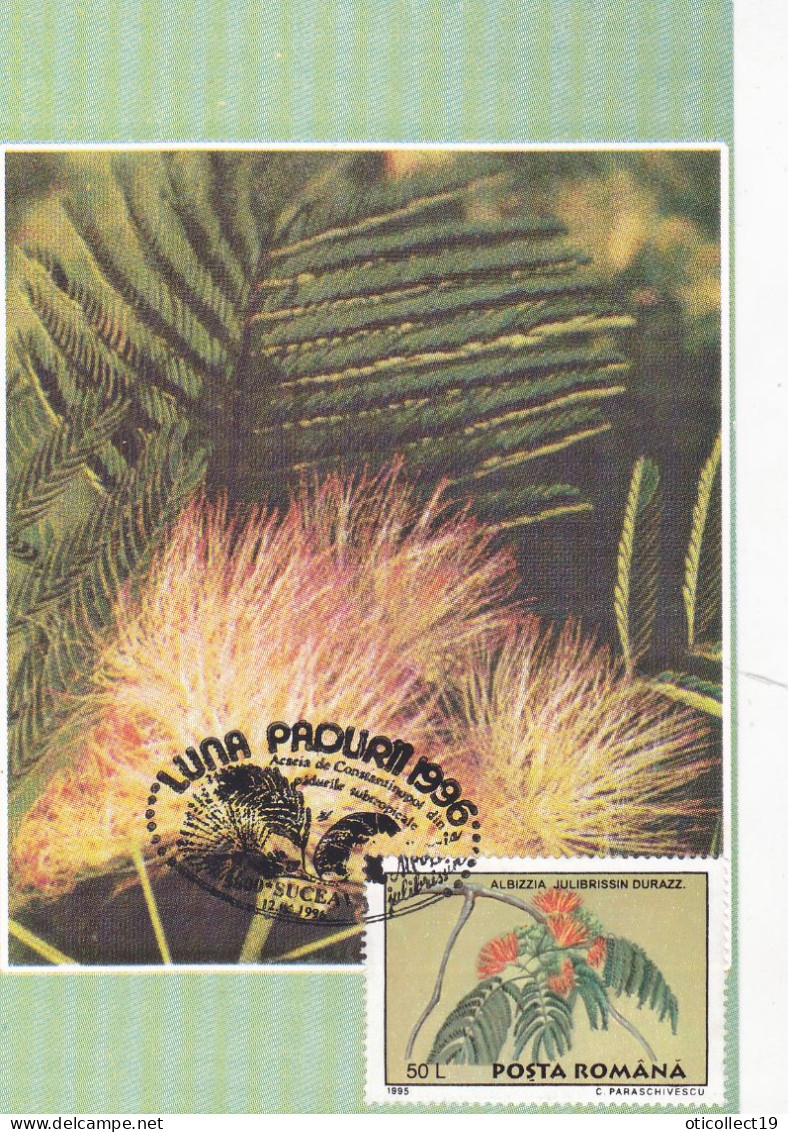 MEDICINAL PLANTS,MAXI CARD ,CM,CARTES MAXIMUM 1996 SUCEAVA ROMANIA. - Heilpflanzen