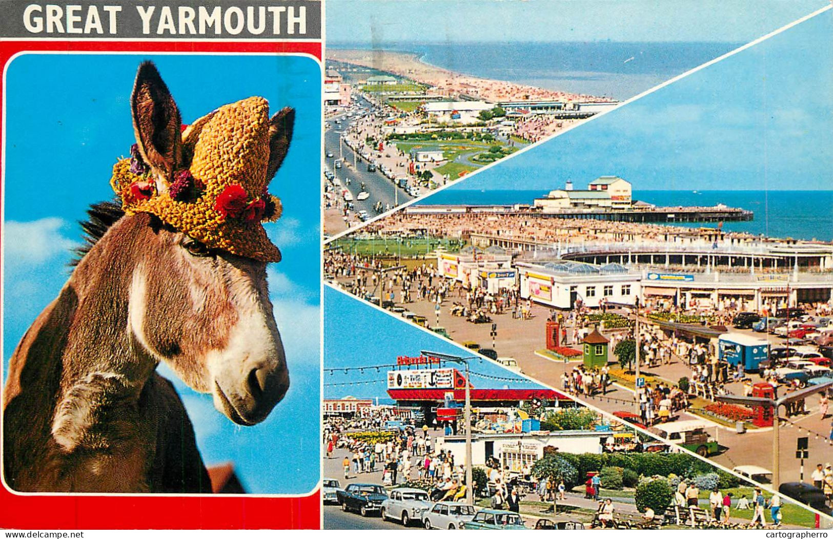 United Kingdom England Great Yarmouth Donkey - Great Yarmouth