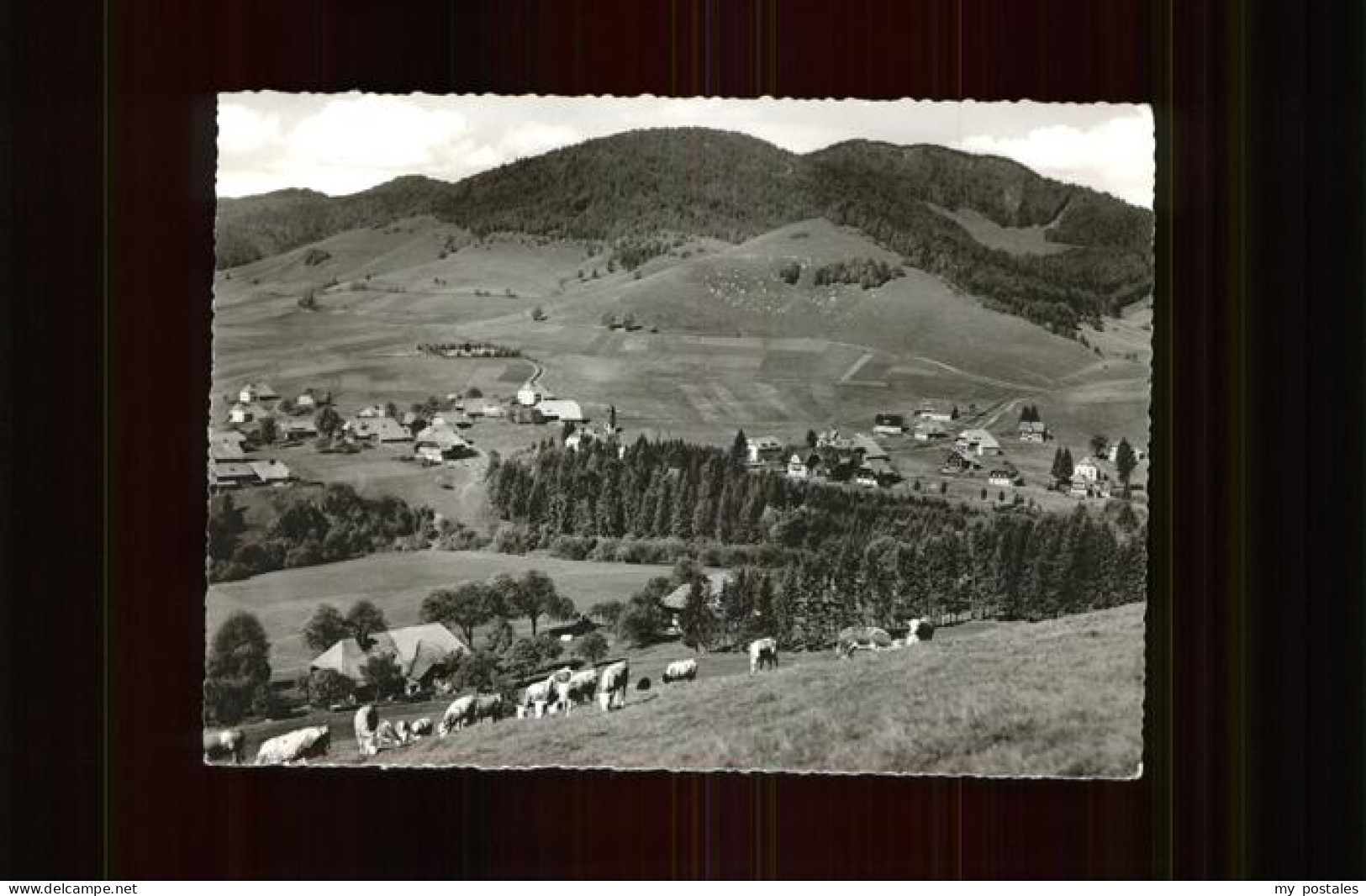 41391378 Bernau Schwarzwald Panorama Bernau - Bernau