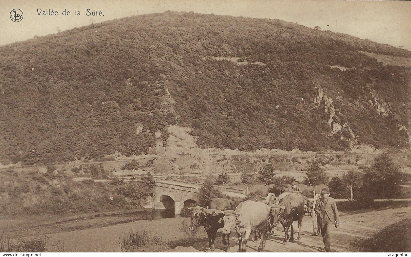 Luxembourg - Luxemburg - VALLÉE DE LA SÛRE  -  BOURSCHEID  -  Ern Thill , Bruxelles - Burscheid