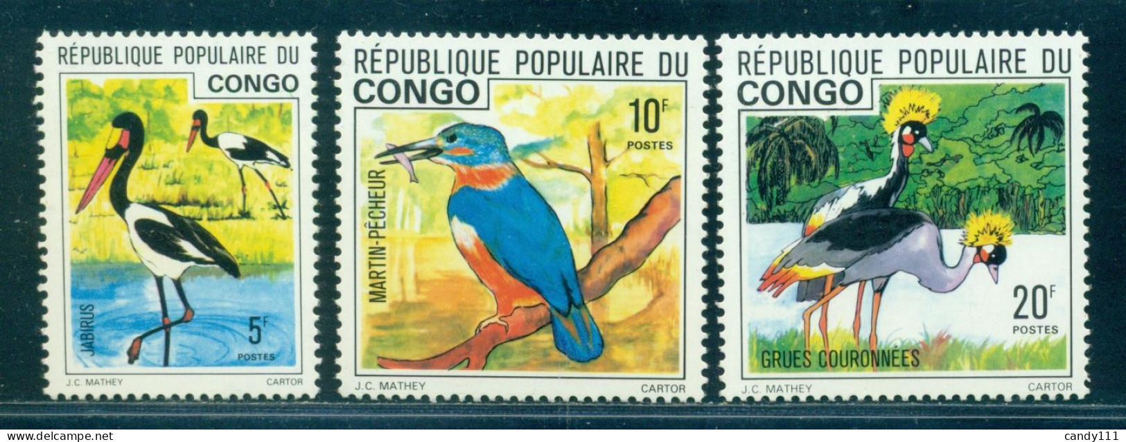 1976 Bird,Saddle-billed Stork,kingfisher,The Black Crowned Crane,Congo,M.544,MNH - Gru & Uccelli Trampolieri