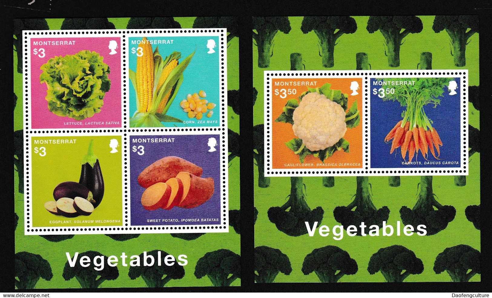 Montserrat 2014 Vegetables - Montserrat