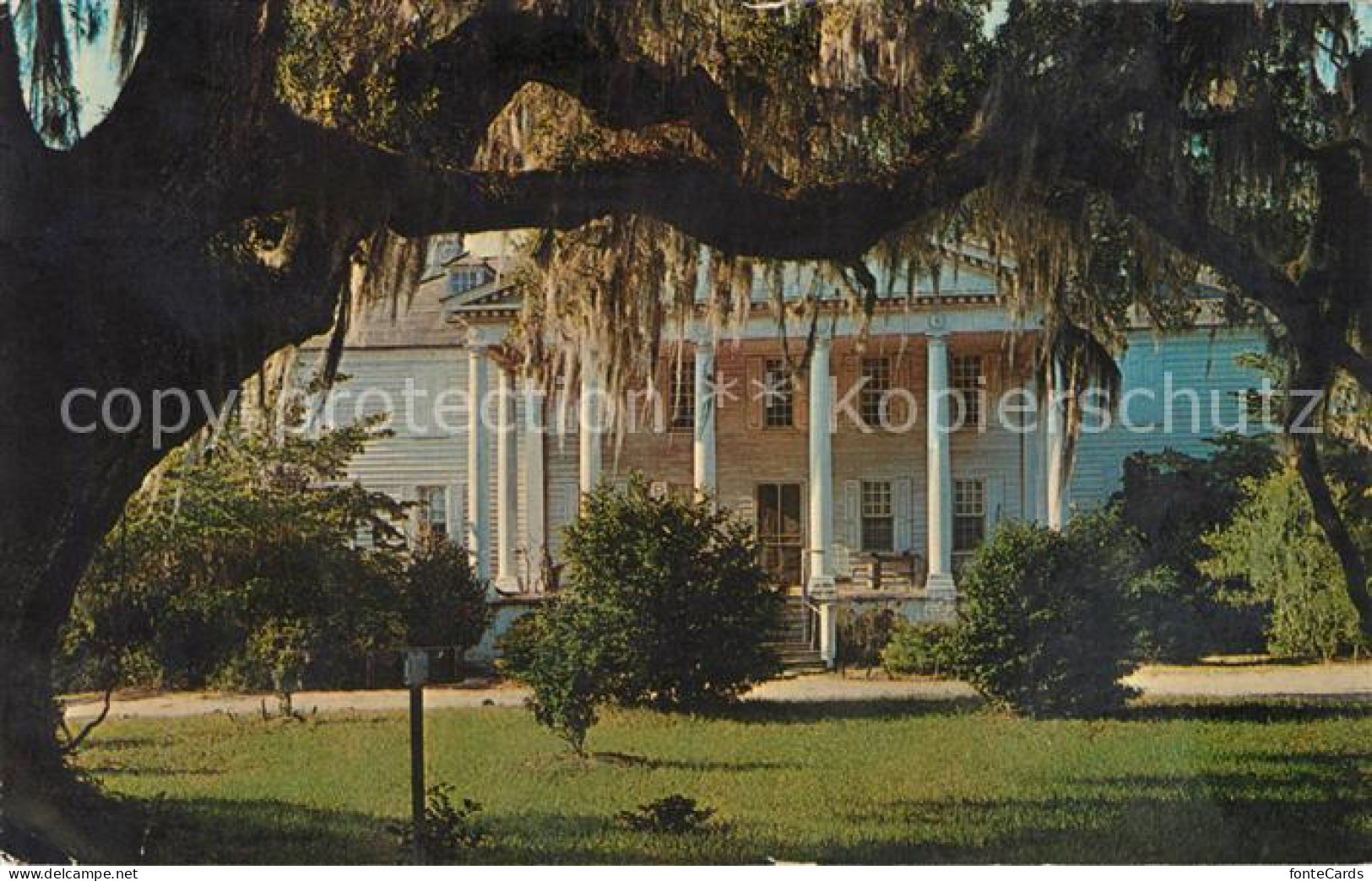 73131331 McClellanville Hamton Plantation - Sonstige & Ohne Zuordnung