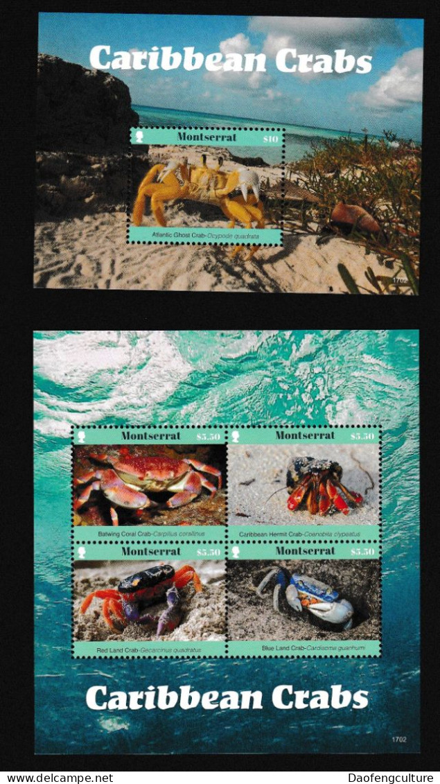 Montserrat 2017 Fauna Crabs - Montserrat