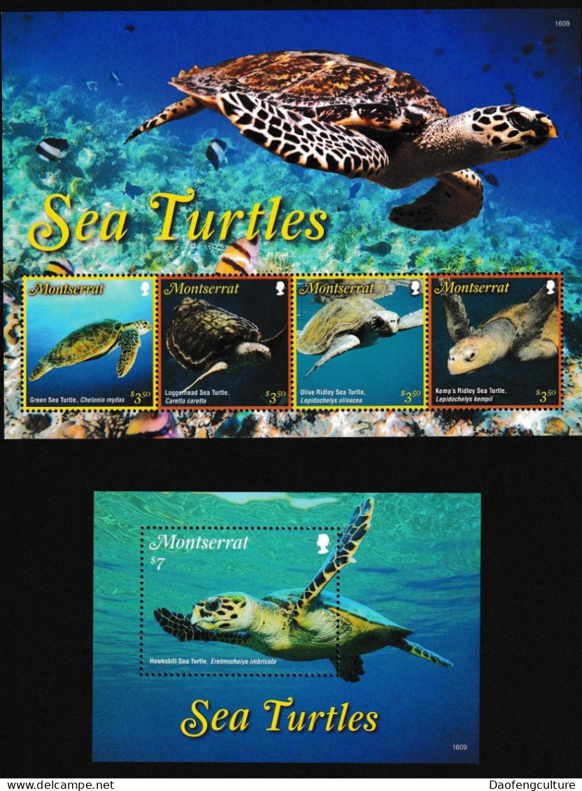 Montserrat 2016 Fauna Sea Turtle - Montserrat