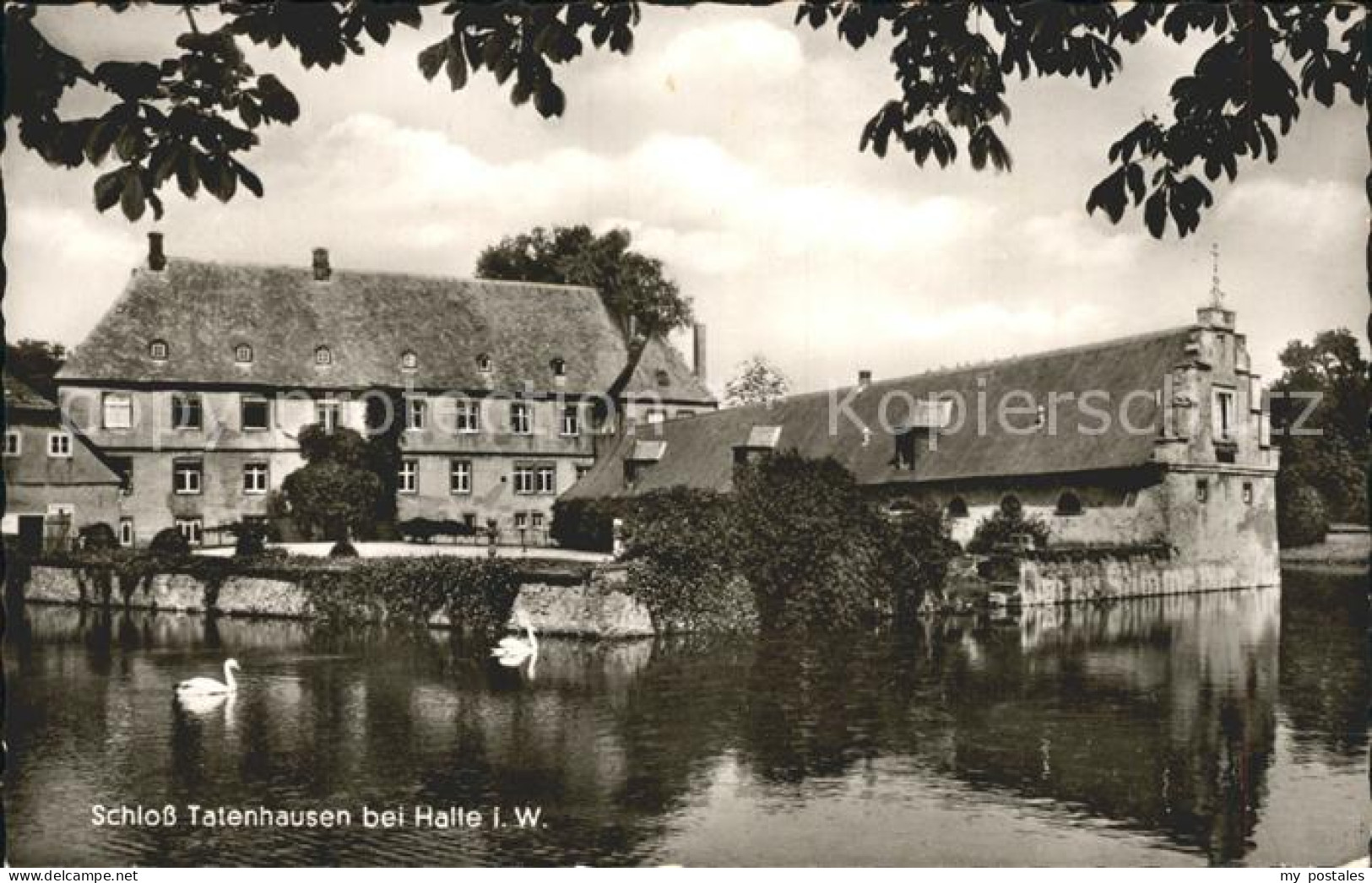 72198641 Tatenhausen Westfalen Schloss Mit Teich Schwaene Tatenhausen Westfalen - Halle I. Westf.