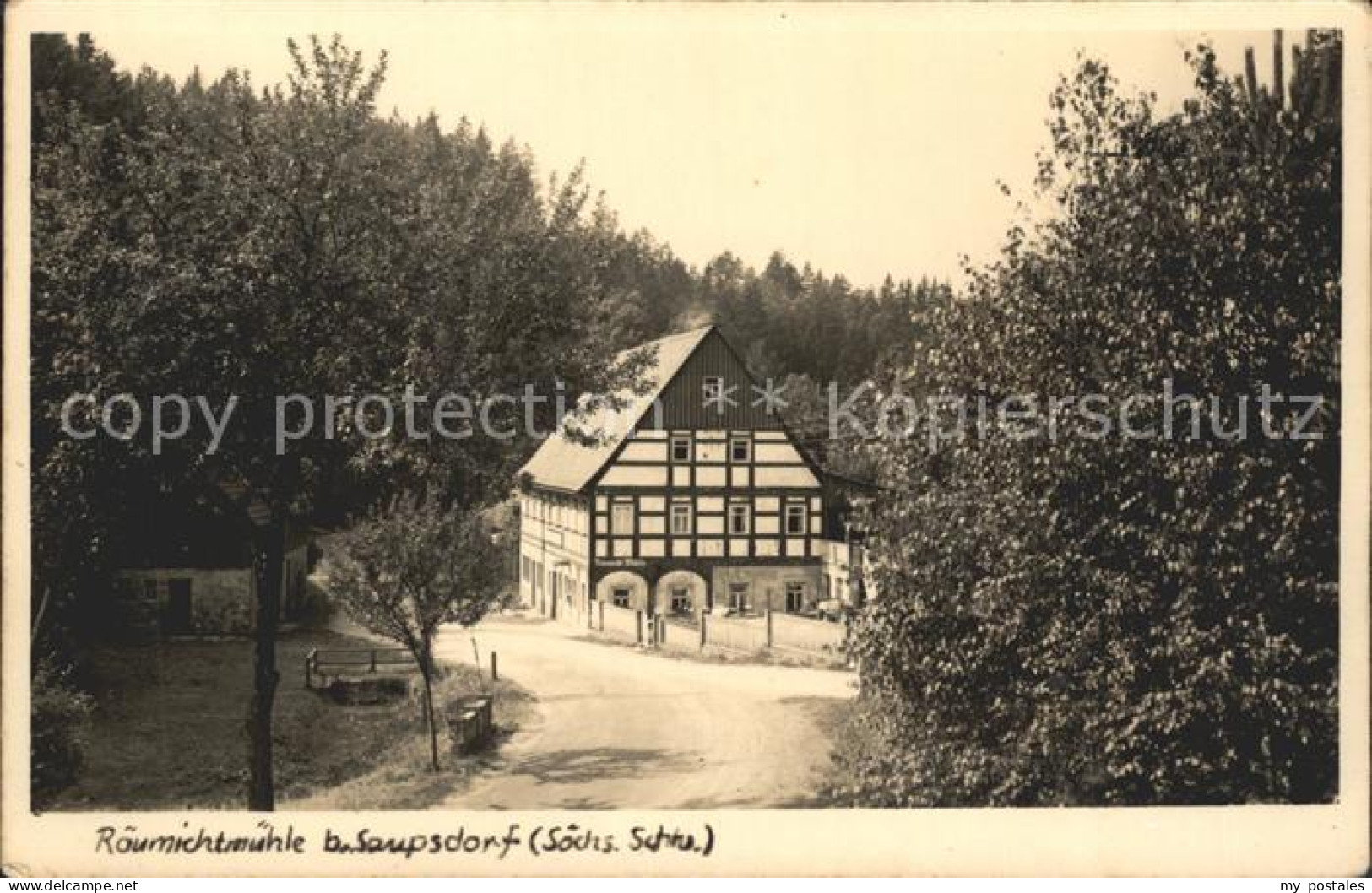 42194041 Saupsdorf Raeumichtmuehle Saupsdorf - Kirnitzschtal