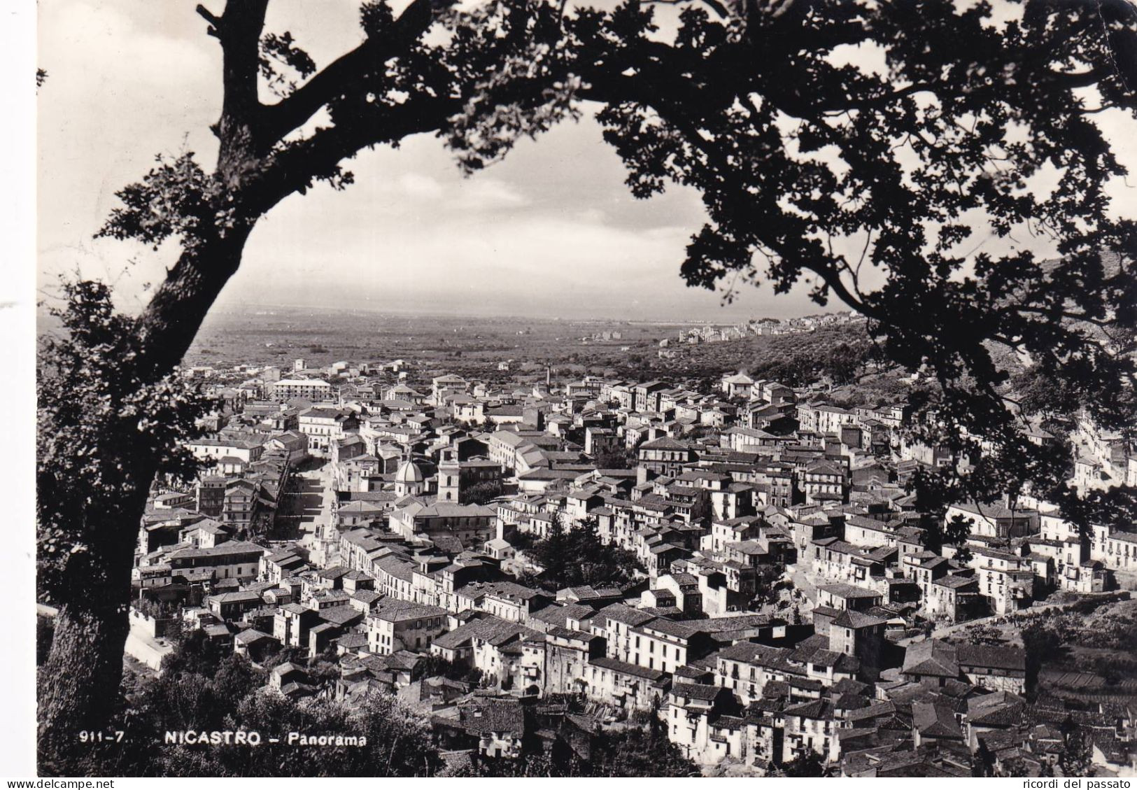 Cartolina Nicastro ( Lamezia Terme ) Panorama - Lamezia Terme