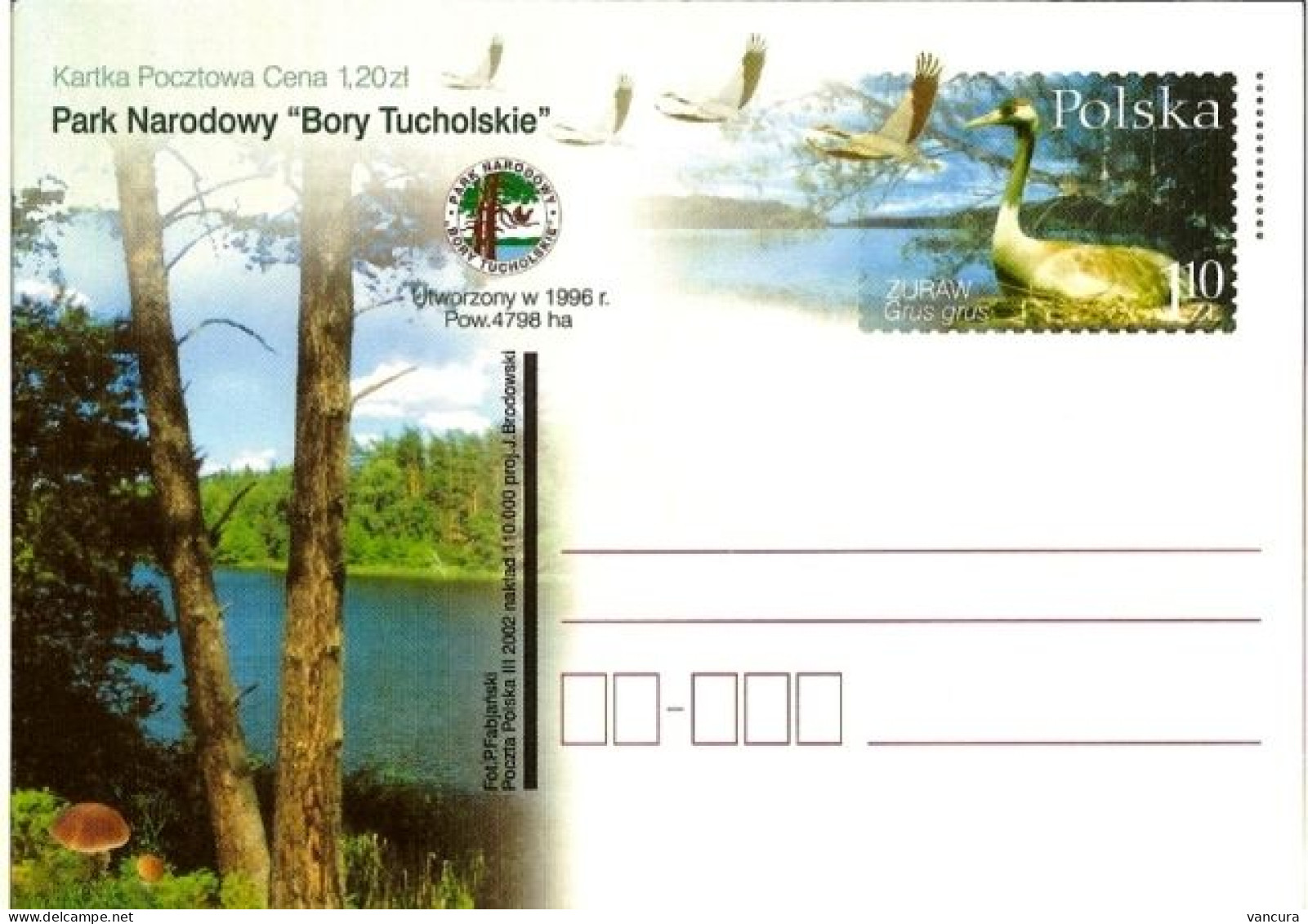 Cp 1275 Poland Park Narodowy Bory Tucholskie Grus Grus 2002 - Gru & Uccelli Trampolieri
