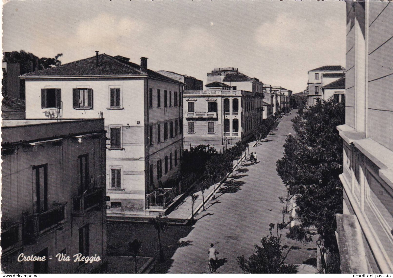 Cartolina Crotone - Via Reggio - Crotone