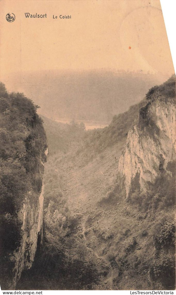 BELGIQUE - Hastière - Waulsort - Vue Sur Le Colebi - Carte Postale Ancienne - Hastiere