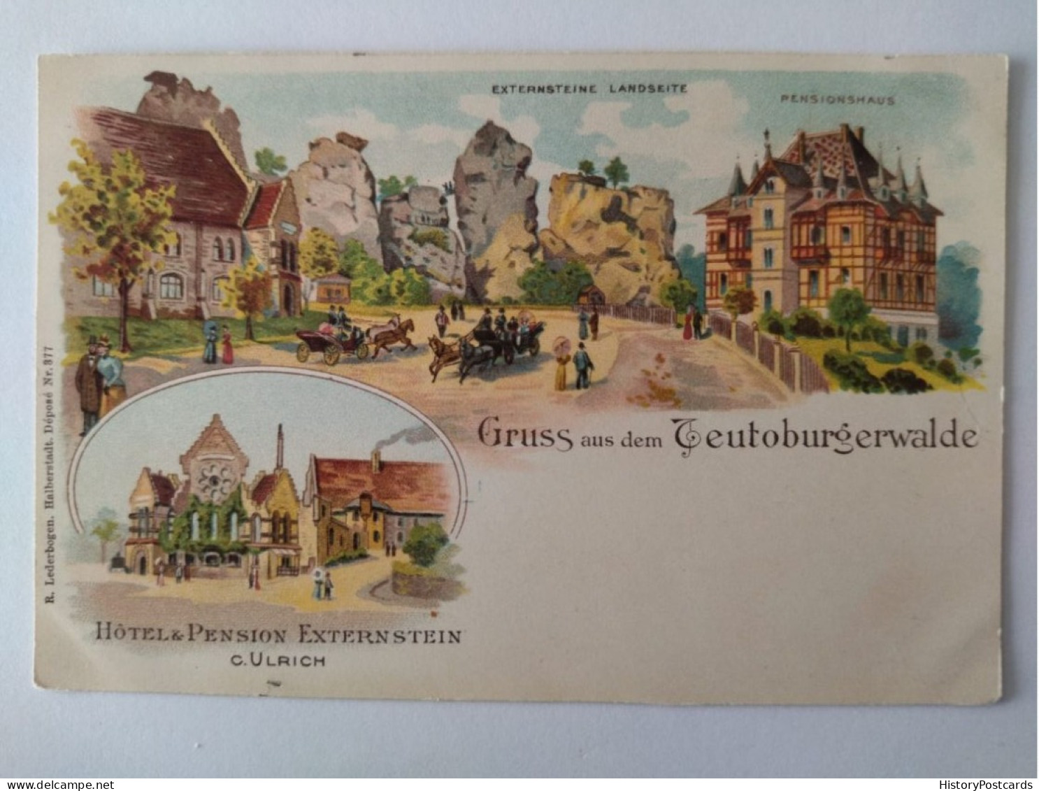 Gruss Aus Dem Teutoburger Wald, Litho, Hotel Externstein,  Pensionshaus, 1900 - Bad Meinberg