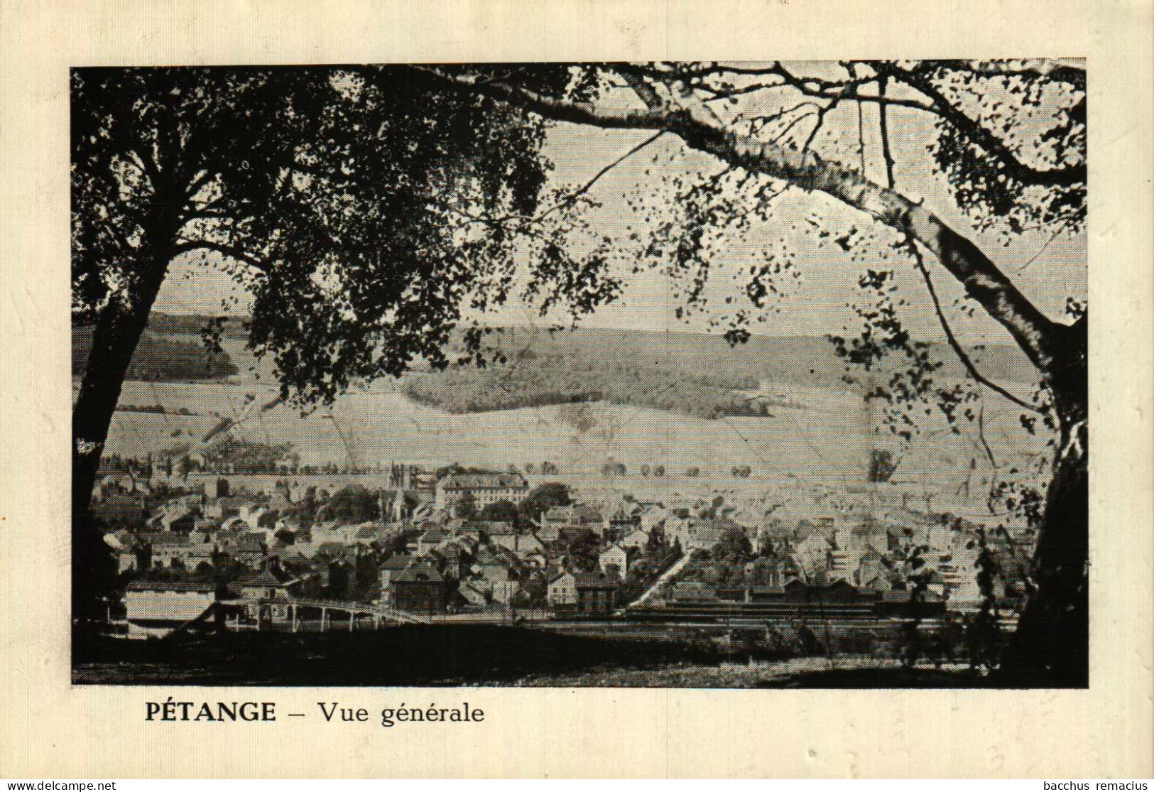 PÉTANGE - Vue Générale - Petingen