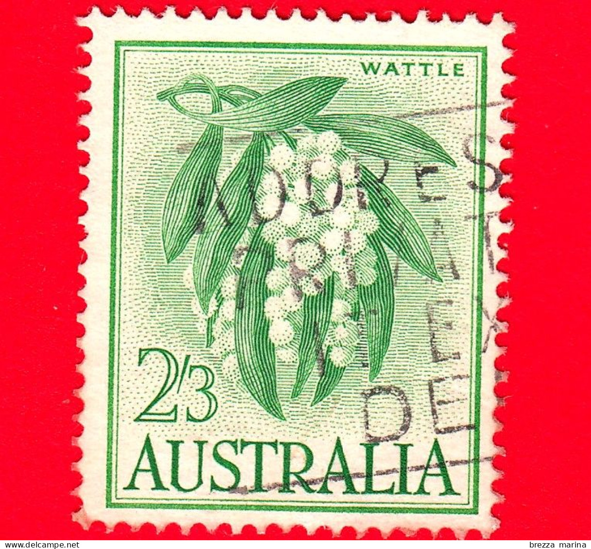 AUSTRALIA ~  Usato ~ 1964 - Piante Native - Mimosa - Wattle - 2'3 - Gebruikt