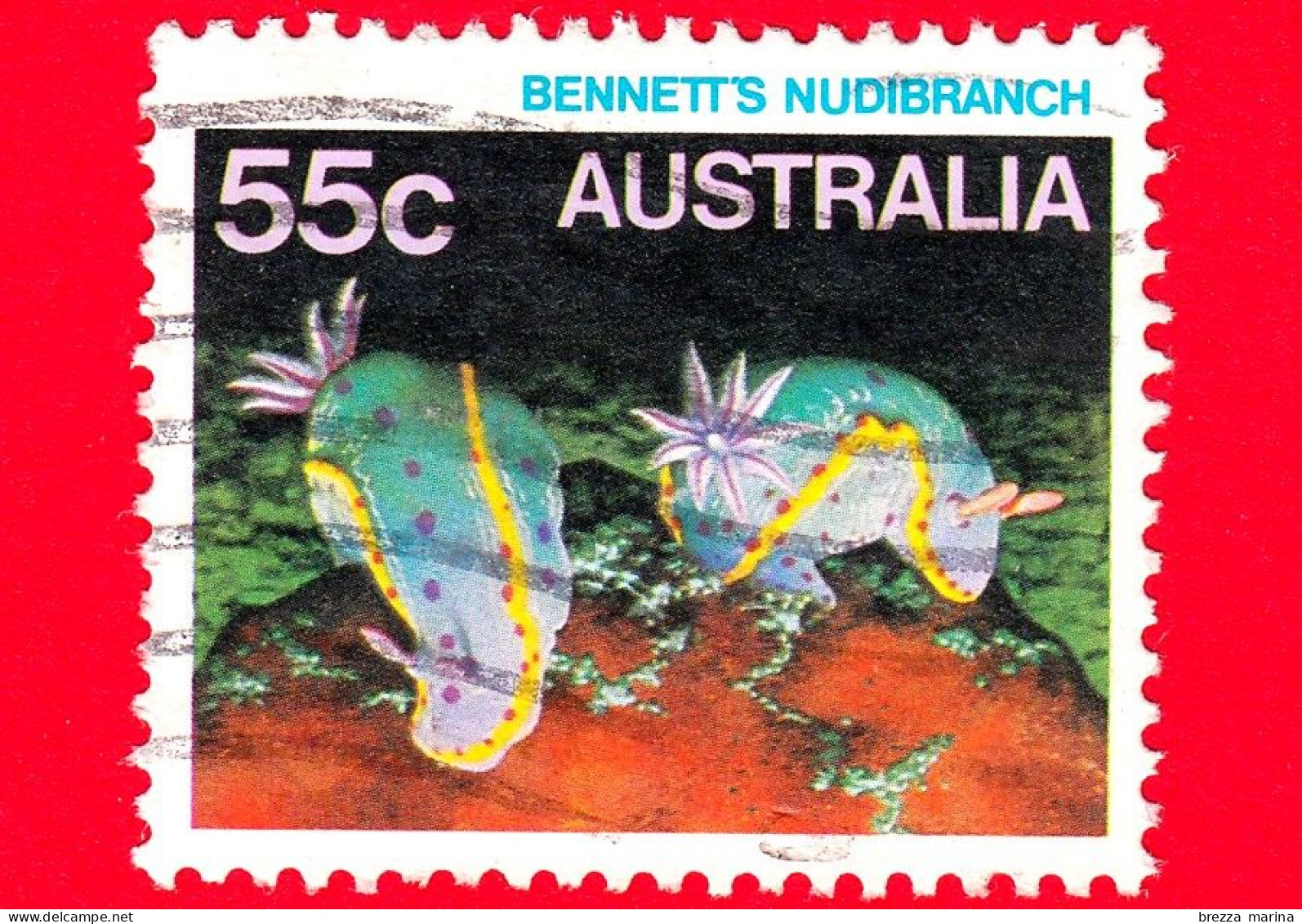 AUSTRALIA - Usato - 1984 - Vita Marina - Bennett's Nudibranch  - 55 - Gebraucht