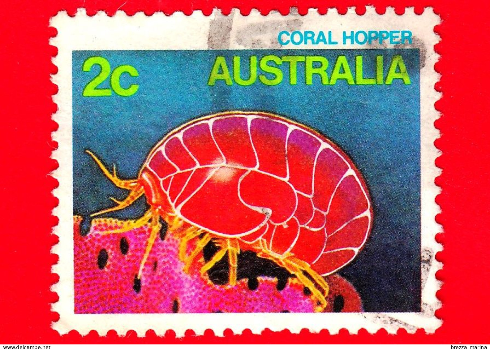 AUSTRALIA - Usato - 1984 - Vita Marina - Coral Hopper (Waldeckia Sp.) - 2 - Gebraucht