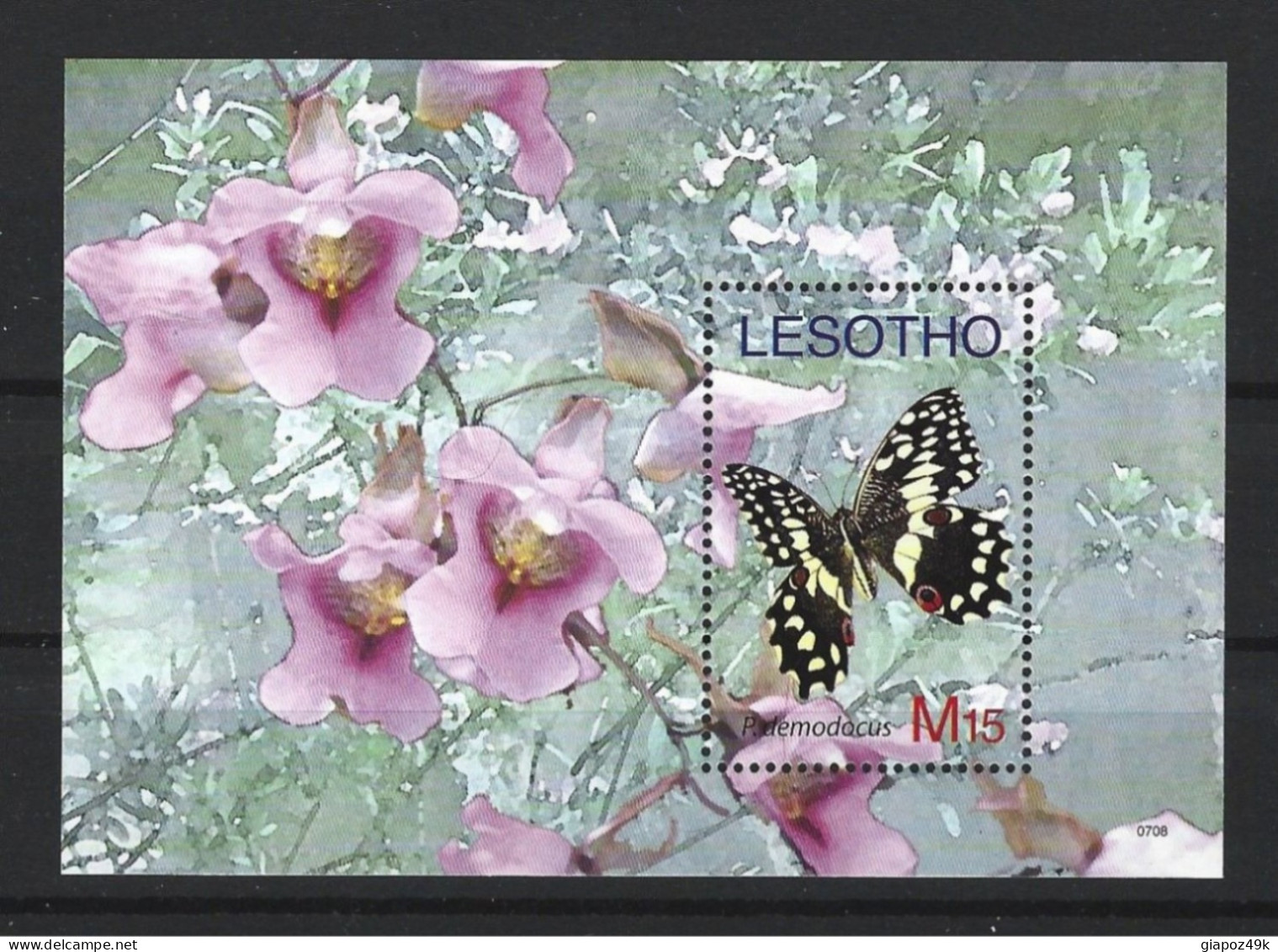 ● LESOTHO 2007 ֎ FAUNA FLORA ● FARFALLA ● ORCHID ● FLOWER ● BUTTERFLIES ● BLUMEN ● PAPILLONS ● 2504 ● - Lesotho (1966-...)