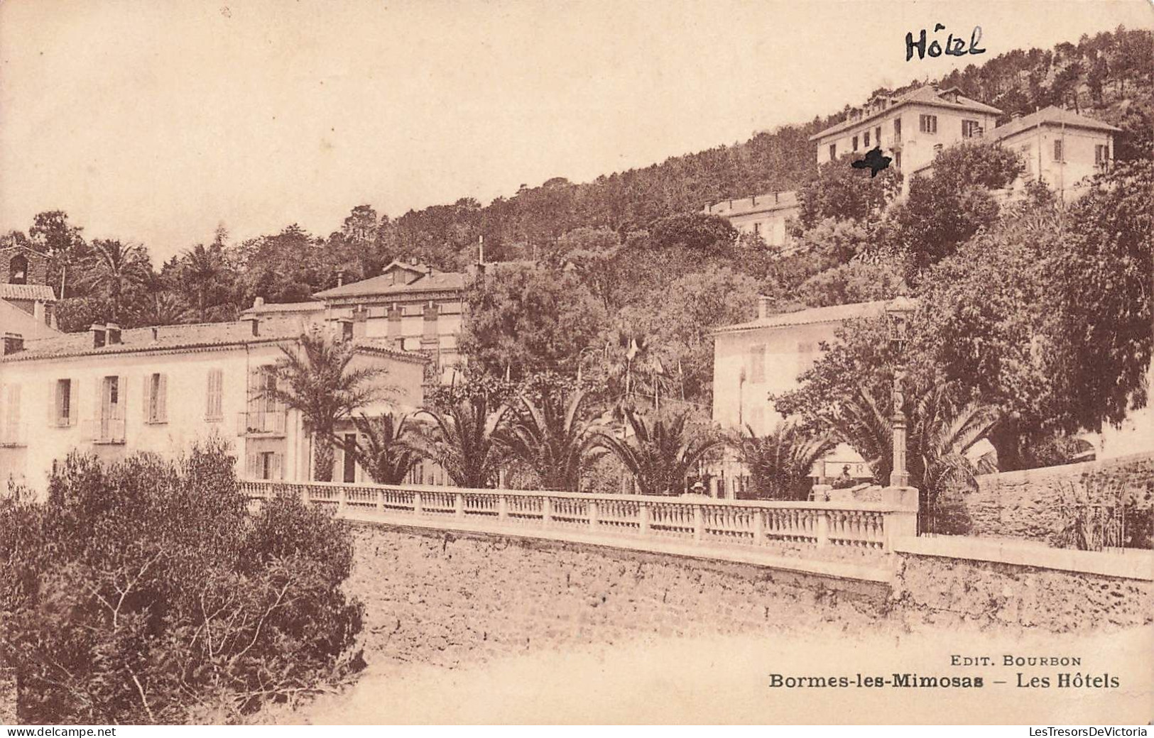 FRANCE - Bormes Les Mimosas - Vue Sur Les Hôtels - Carte Postale Ancienne - Bormes-les-Mimosas