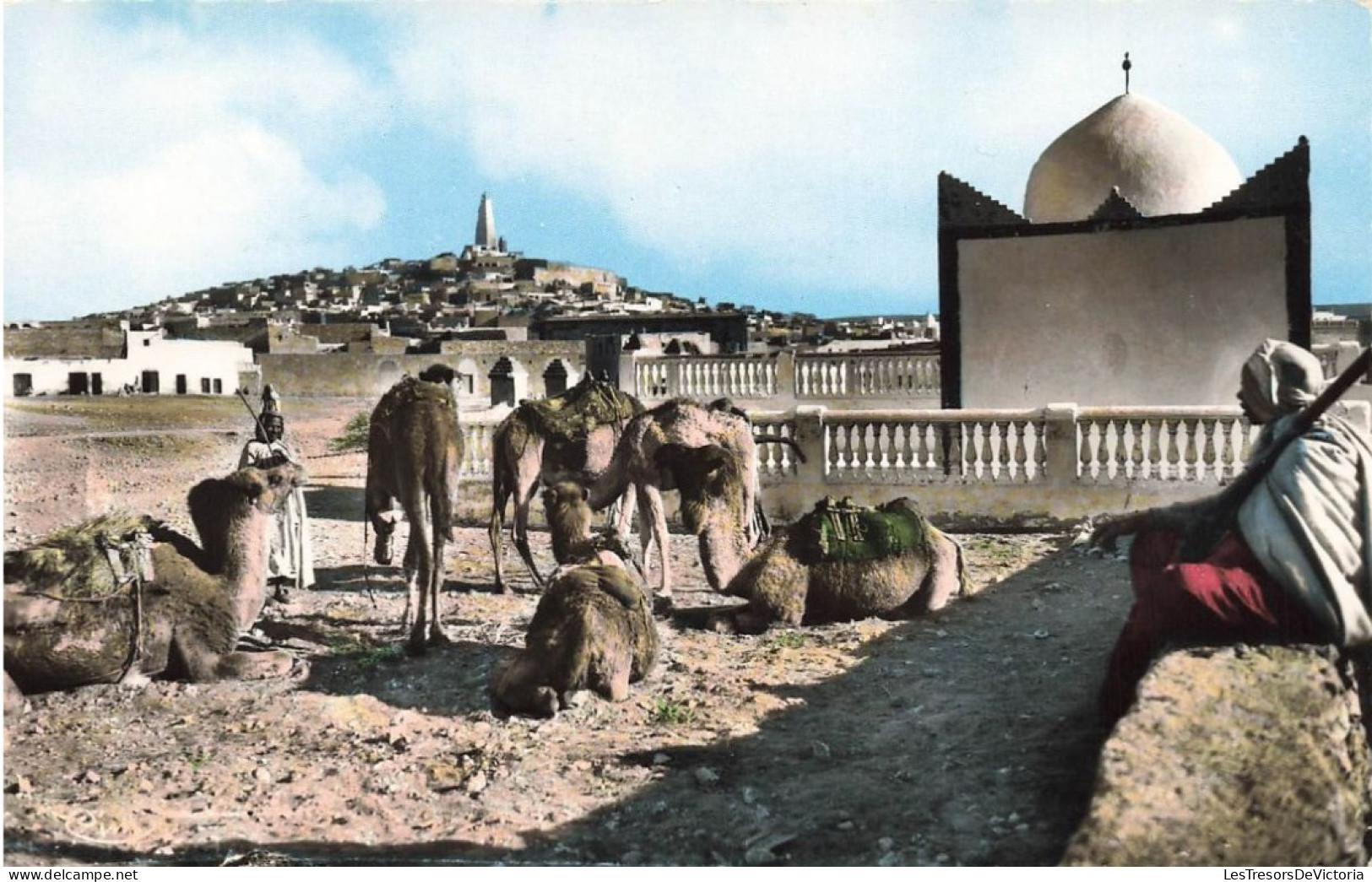 ALGÉRIE - Ghardaïa - Caravane Près Du Marabout Du Cimetière - Carte Postale Ancienne - Ghardaïa