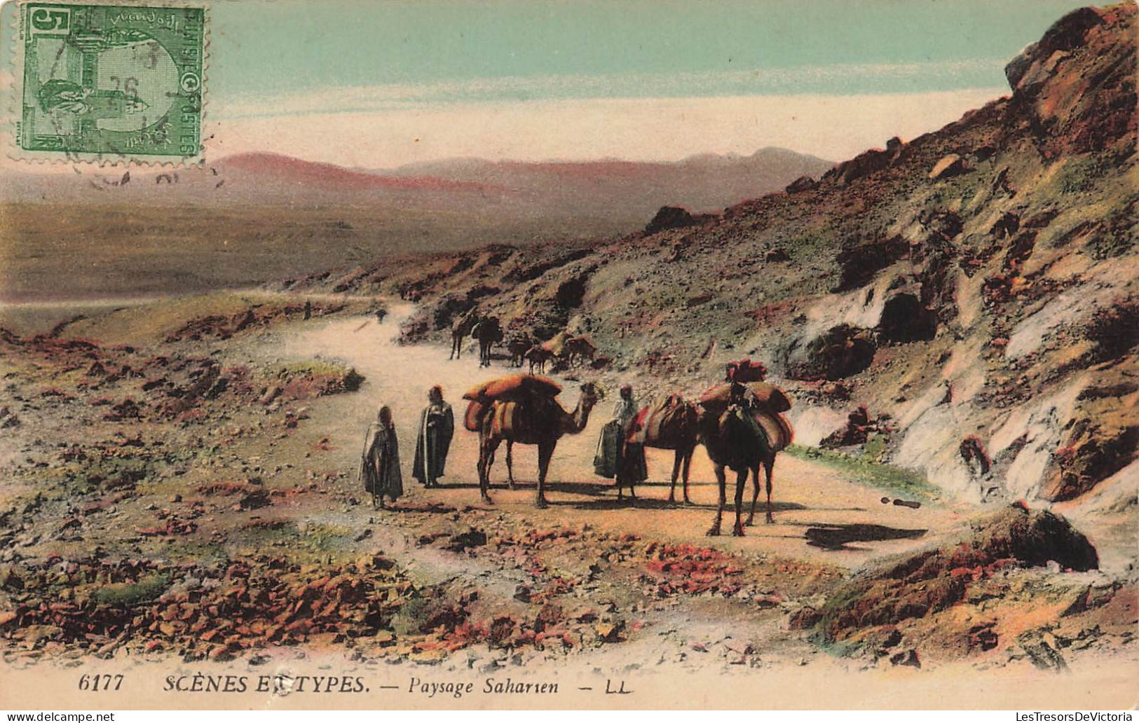 ALGÉRIE - Scènes & Types - Paysage Saharien - Carte Postale Ancienne - Scènes & Types