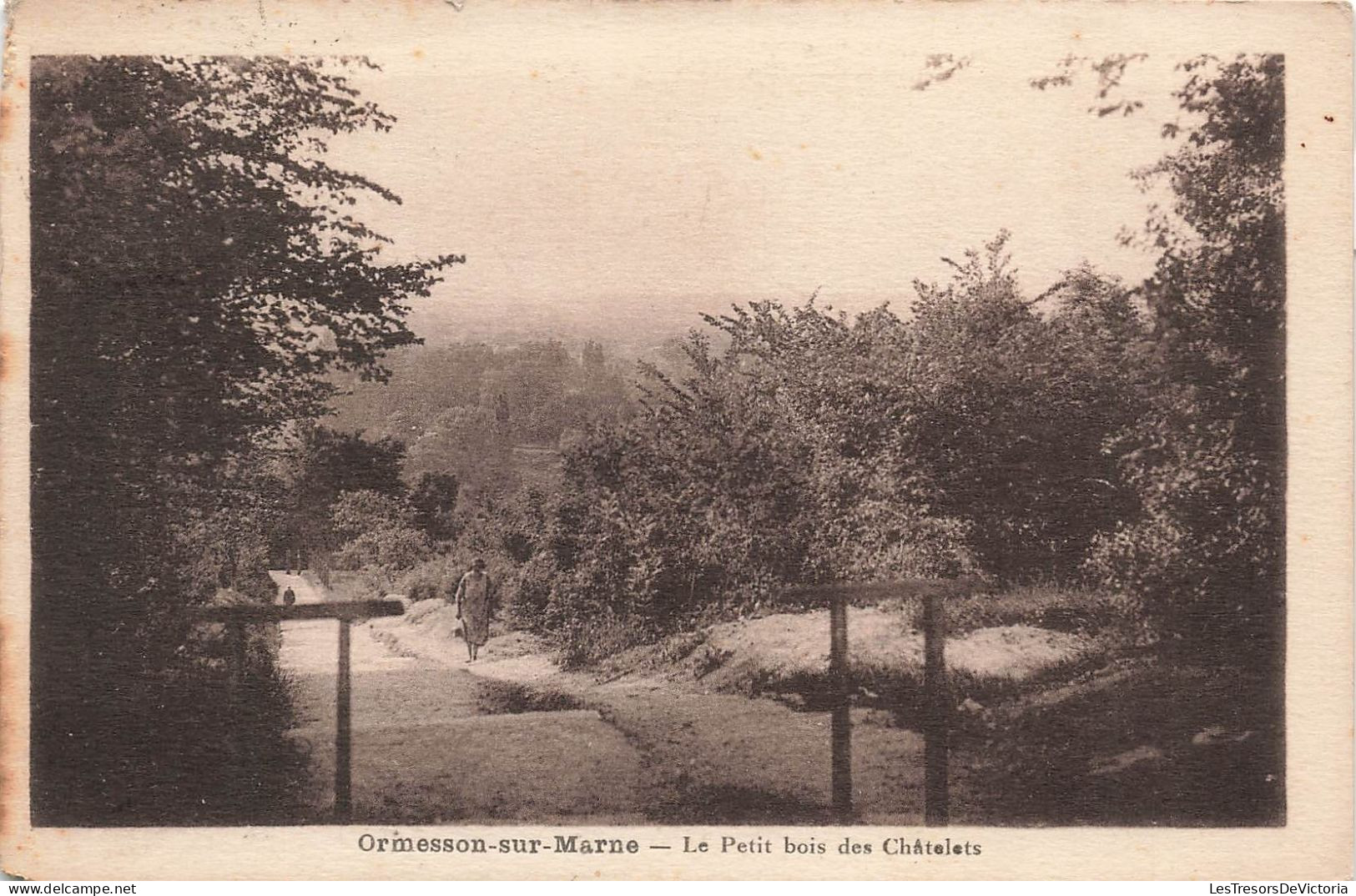 FRANCE - Ormesson Sur Marne - Le Petit Bois Des Châtelets - Carte Postale Ancienne - Ormesson Sur Marne