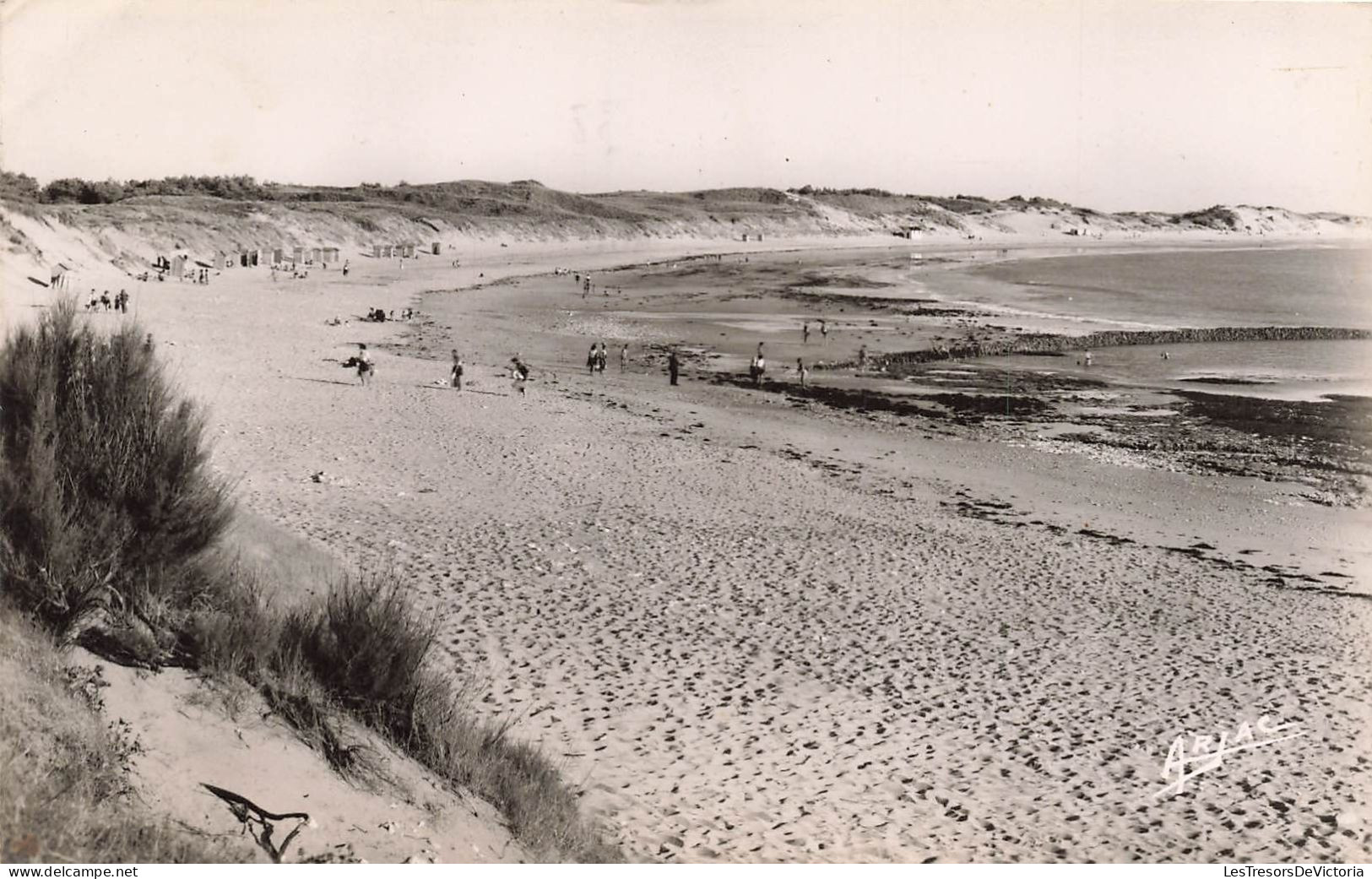 FRANCE - Île D'Oléron - Domino - La Plage - Carte Postale Ancienne - Ile D'Oléron