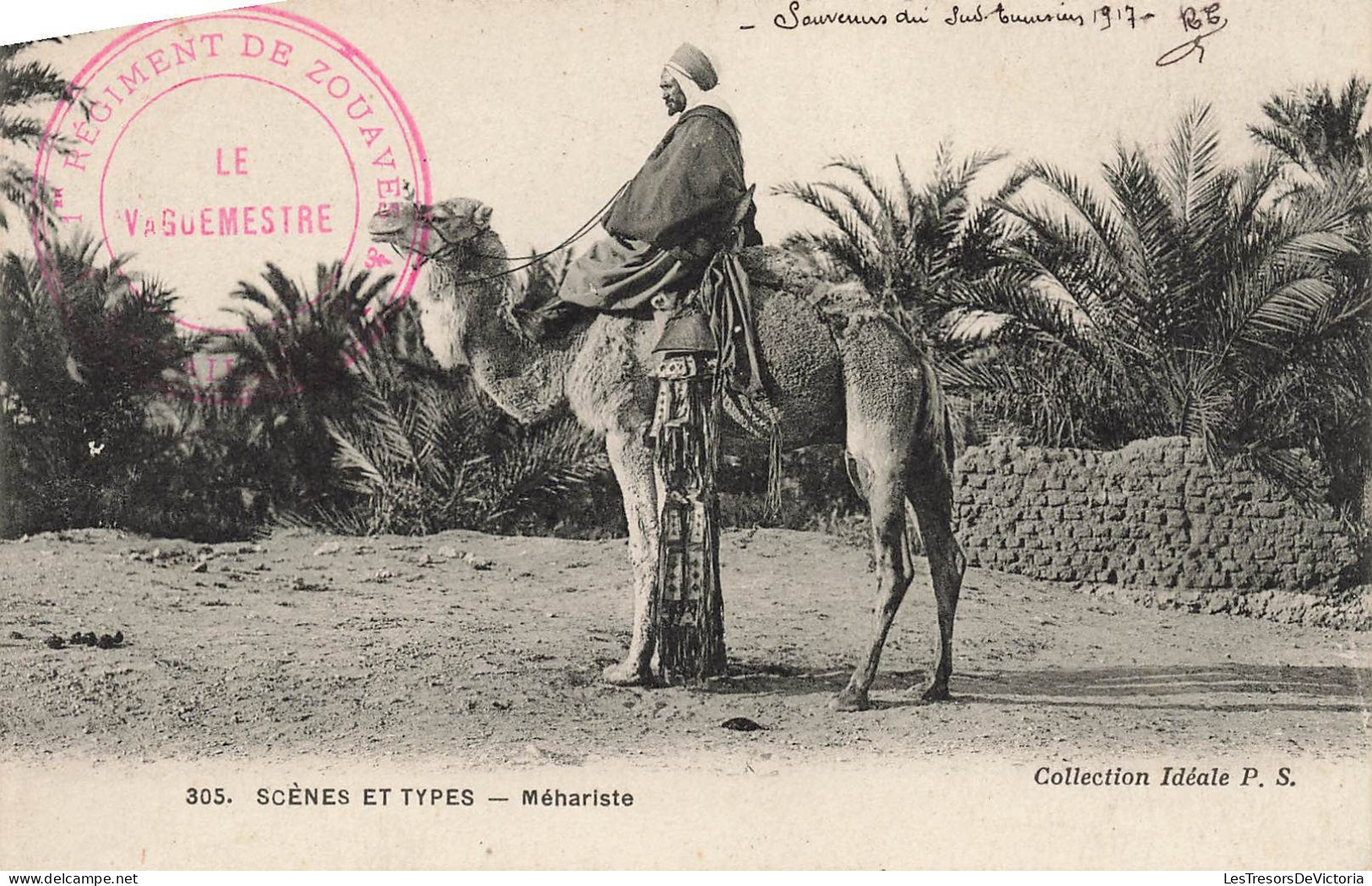 ALGÉRIE - Scènes & Types - Méhariste - Carte Postale Ancienne - Escenas & Tipos