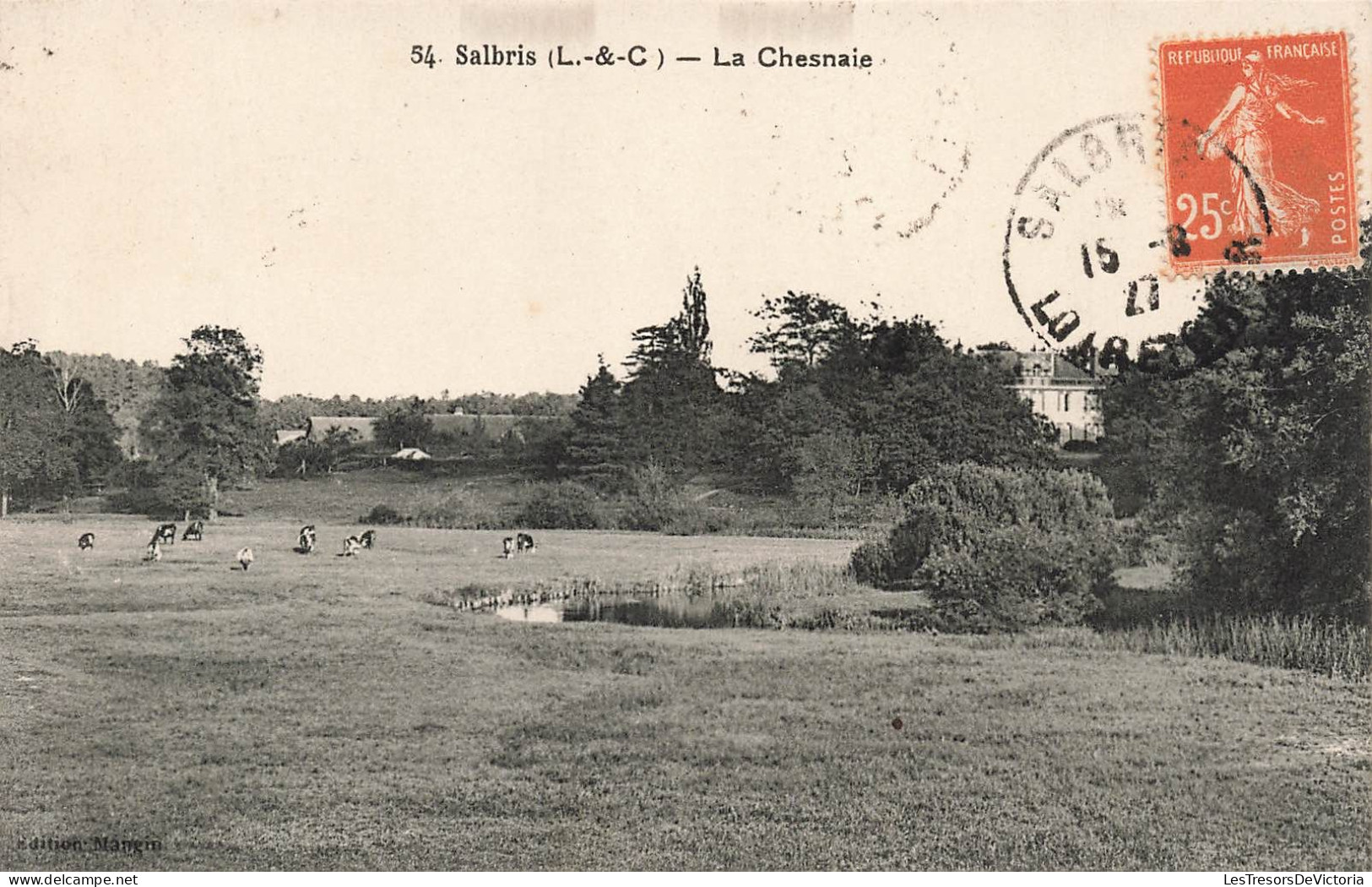 FRANCE - Salbris - Vue Sur La Chesnaie -  Carte Postale Ancienne - Salbris