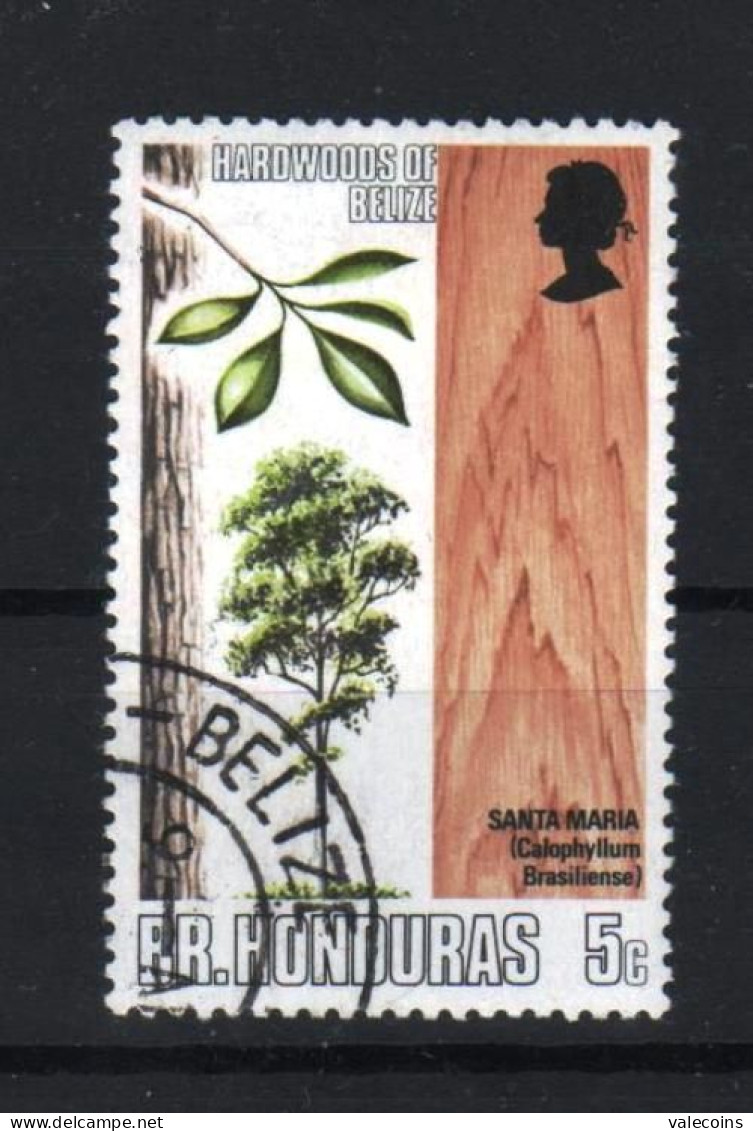 HONDURAS BRITANNICO BRITISH HONDURAS - 1970 - Calophyllum Brasiliense - Used Stamp          MyRef:L - Honduras Británica (...-1970)