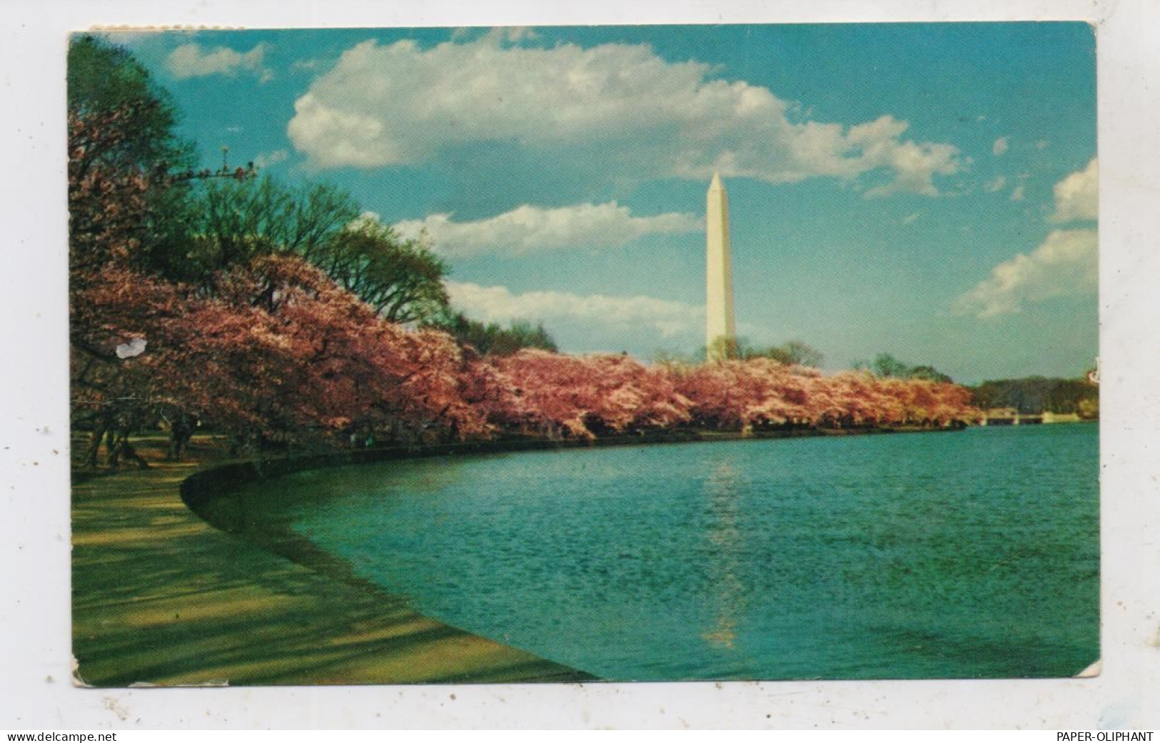 USA - WASHINGTON D.C., Wahington Monument - Washington DC