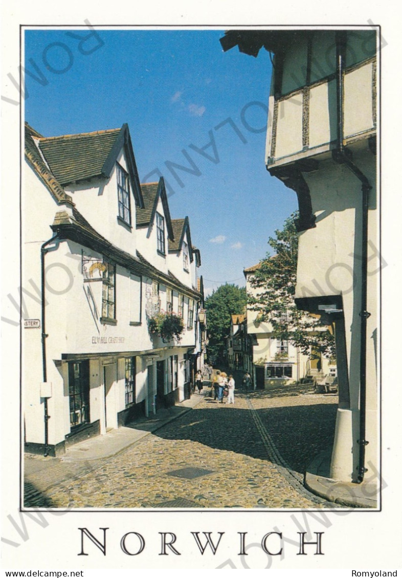 CARTOLINA  NORWICH,NORFOLK,INGHILTERRA,REGNO UNITO-ELM HILL-NON VIAGGIATA - Norwich