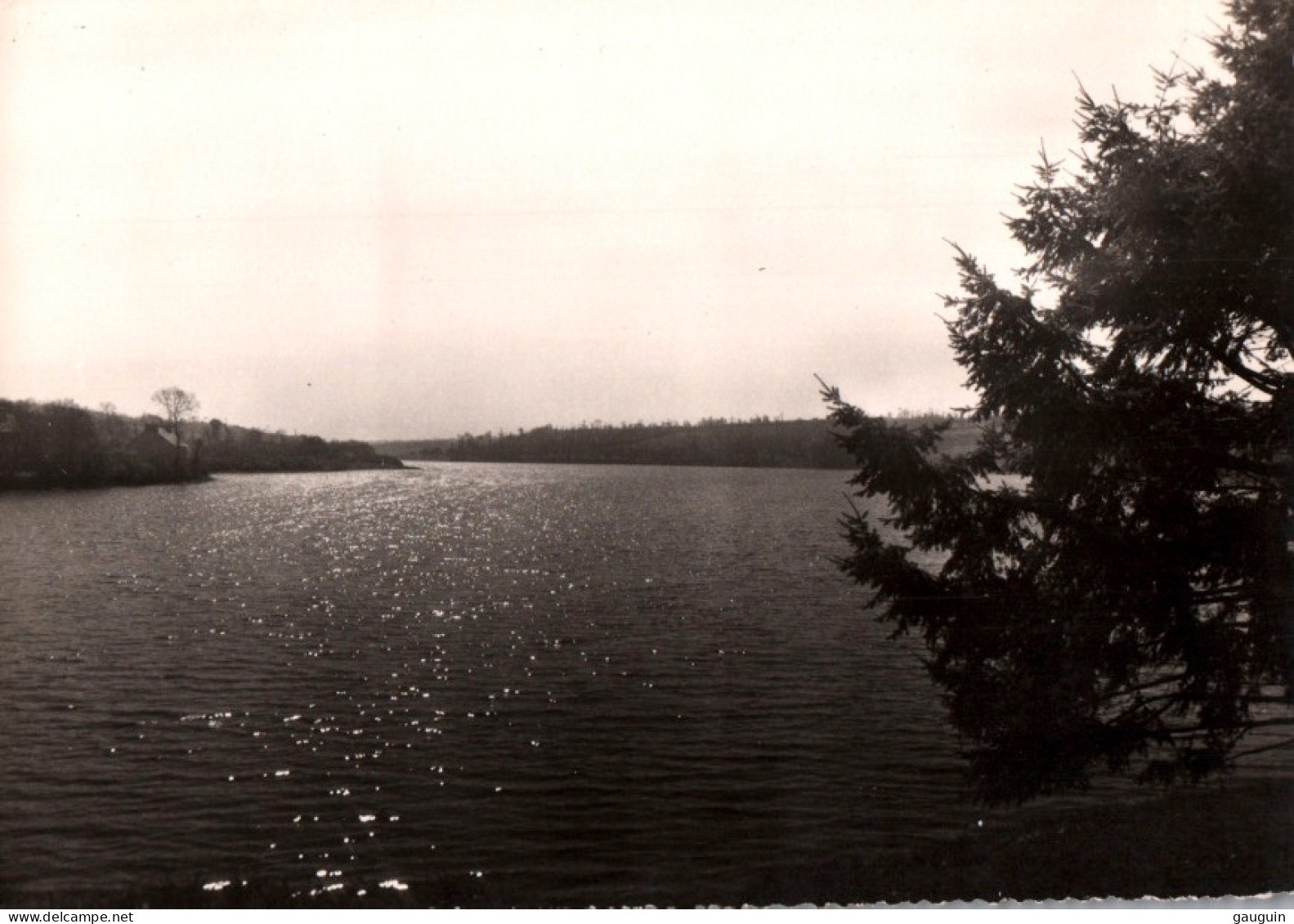 CPSM - JUGON - L'étang Long De 4 Kms ... LOT 2 CP / Edition A. Stoll - Jugon-les-Lacs