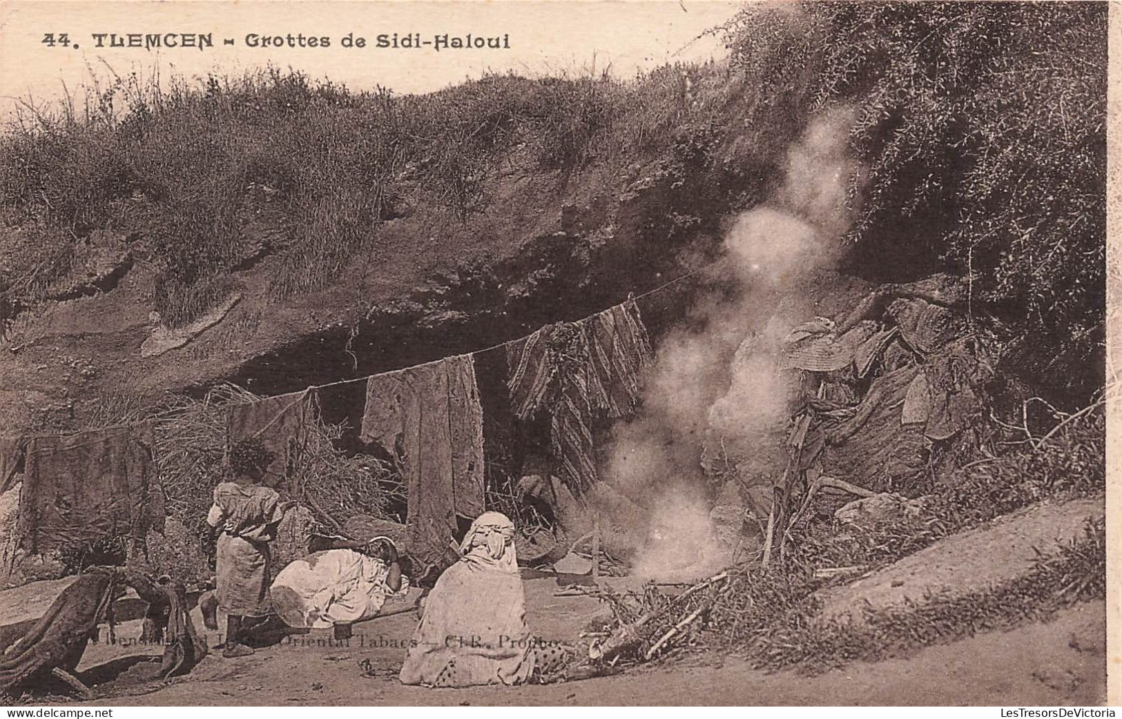 ALGÉRIE - Tlemcen - Grottes De Sidi-Haloui - Carte Postale Ancienne - Tlemcen