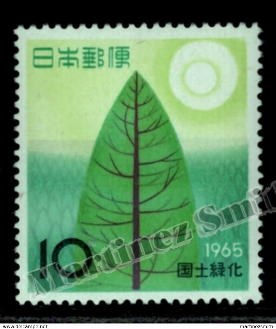 Japon - Japan 1965 Yvert 801, Reforestation Campaign - MNH - Unused Stamps