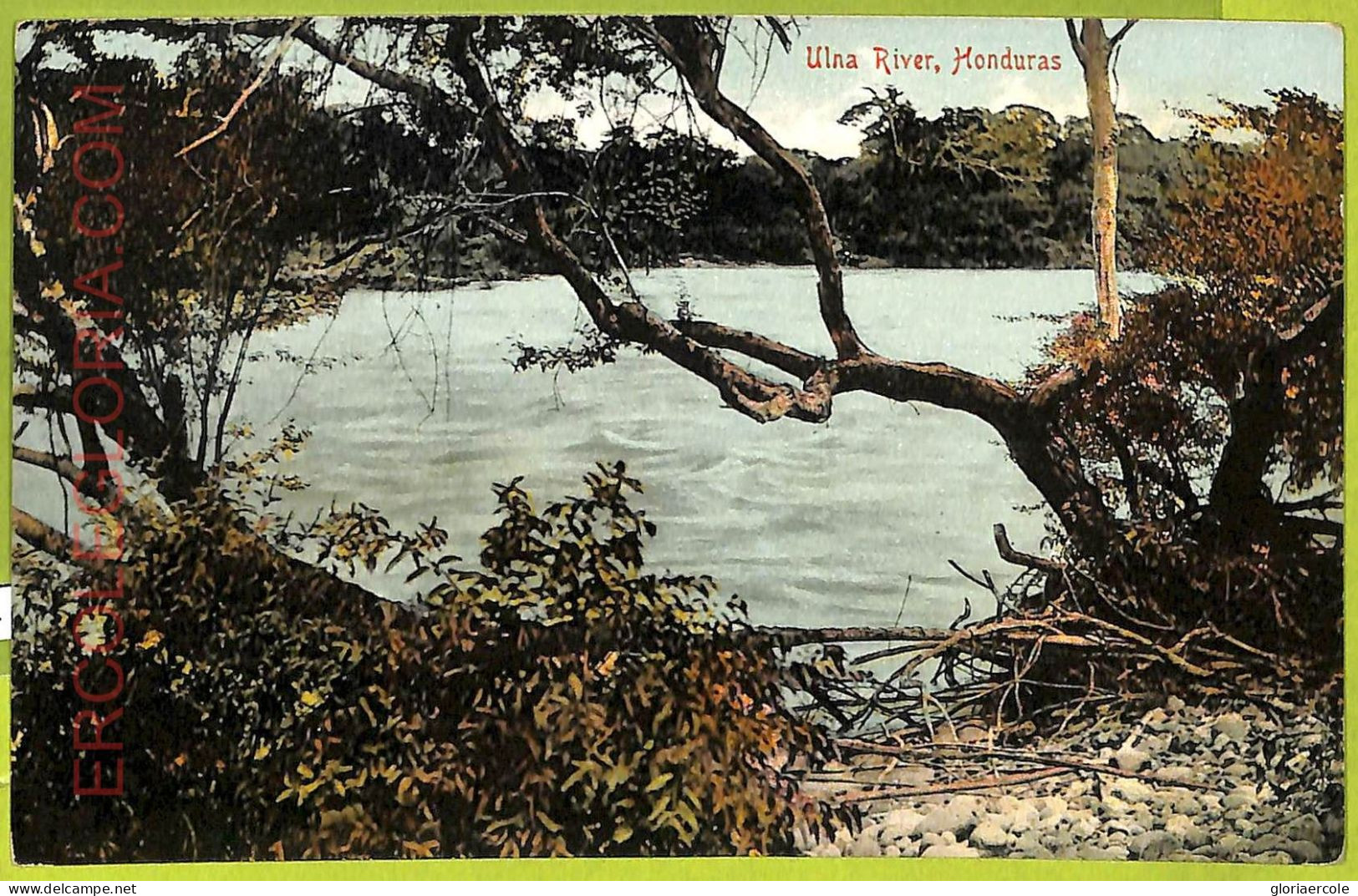 17264 - HONDURAS - VINTAGE POSTCARD - Ulna River - Honduras