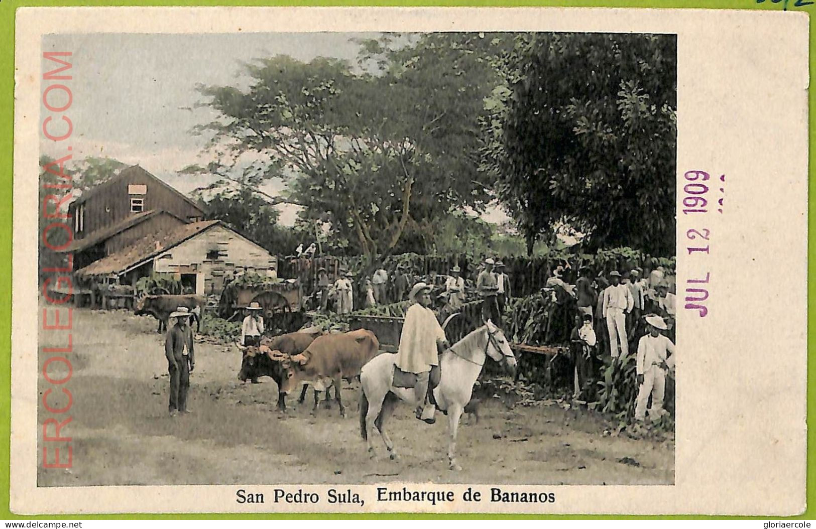 Af2534 - HONDURAS - VINTAGE POSTCARD - San Pedro Sula, Embarque De Bananos - Honduras