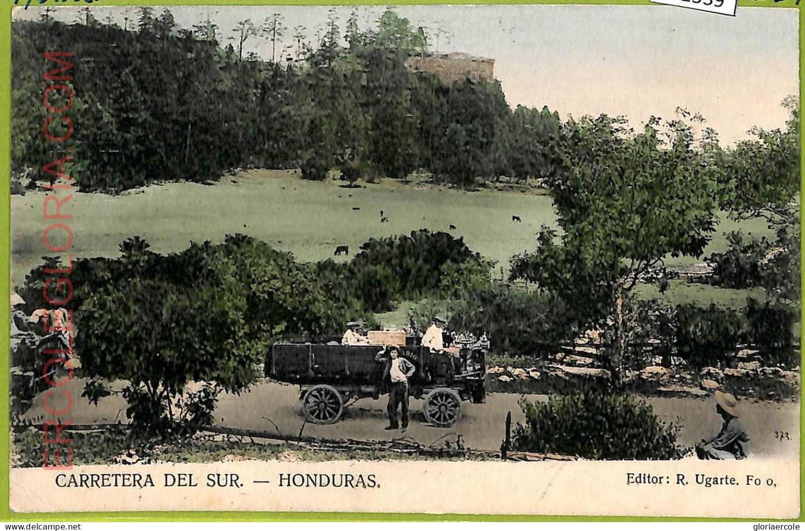 Af2539 - HONDURAS - VINTAGE POSTCARD - Carretera Del Sur - Honduras