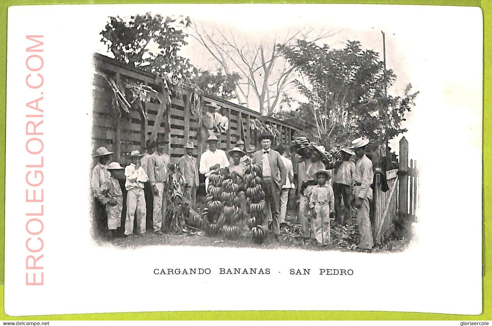 Af2541 - HONDURAS - VINTAGE POSTCARD - San Pedro - Cargando Bananas - Honduras