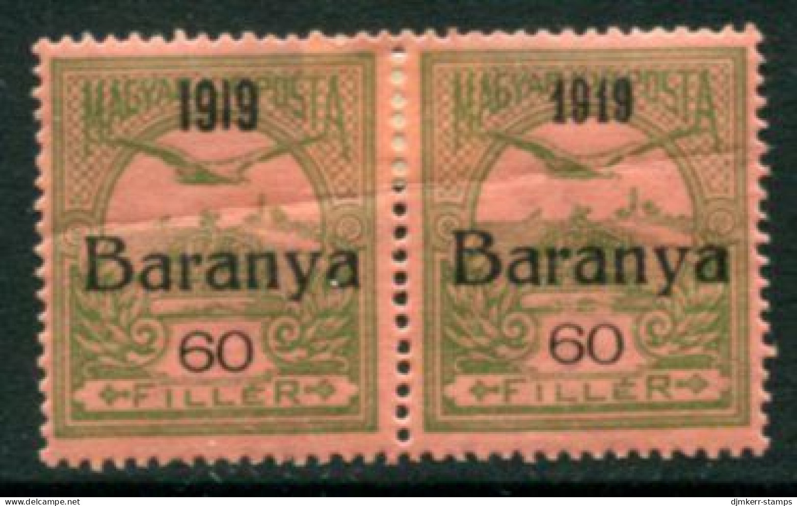 BARANYA Serb Occ. 1919 Turul 60f Normal And Serif Date In Pair MH / *.  Michel 13, SG3, 3b (fault) - Baranya