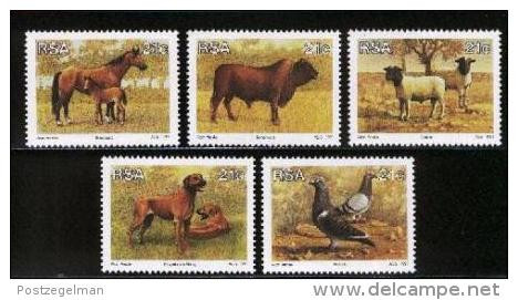 REPUBLIC OF SOUTH AFRICA, 1991, MNH Stamp(s) Animals,  Nr(s.) 813-817 - Nuevos